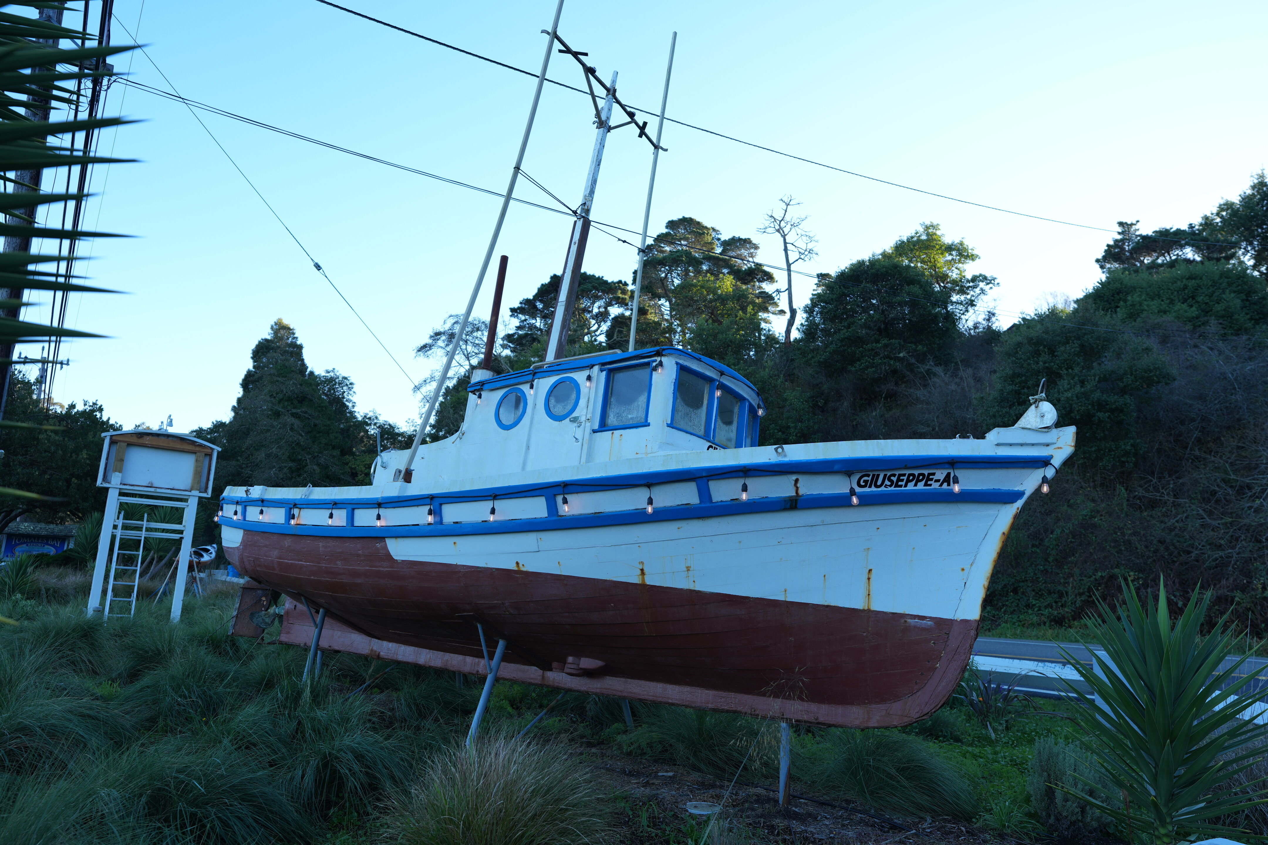 Tomales Bay Resort 门口的船