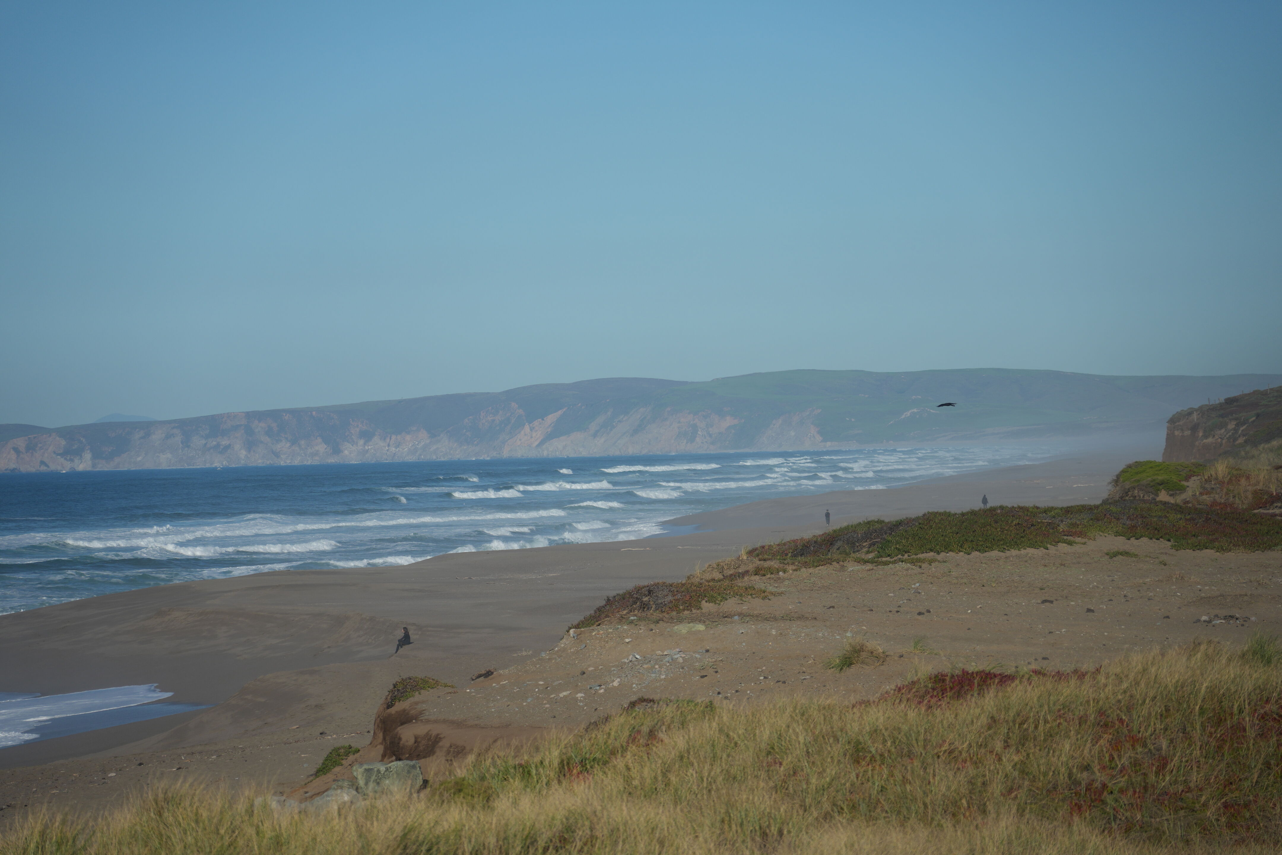 Point Reyes Beach