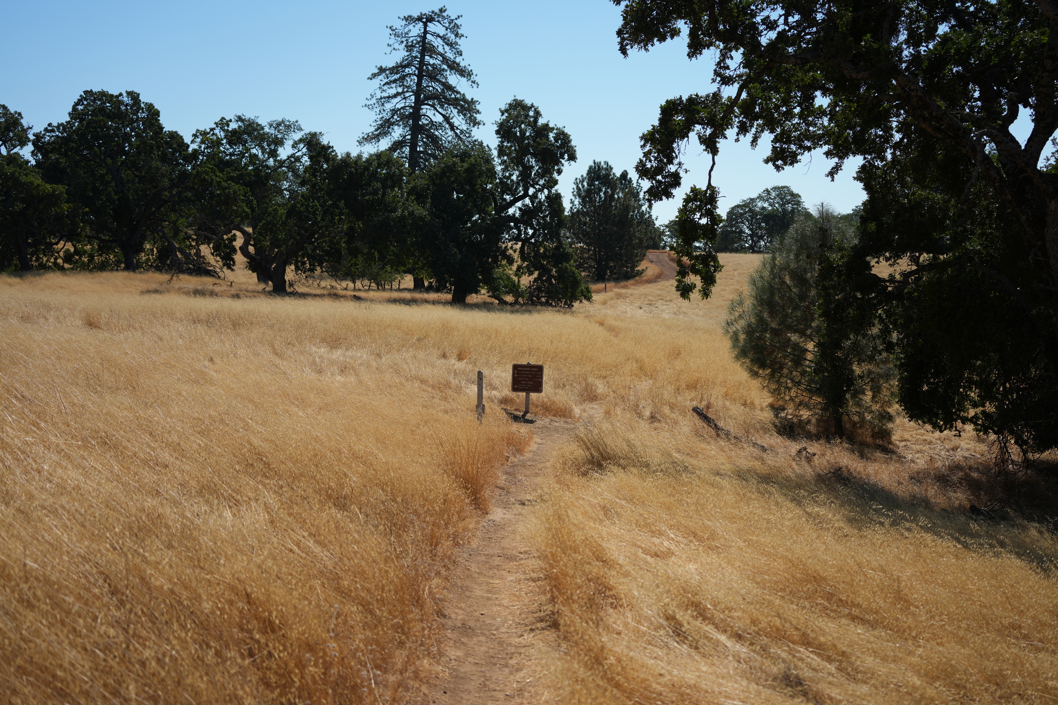 Trail
