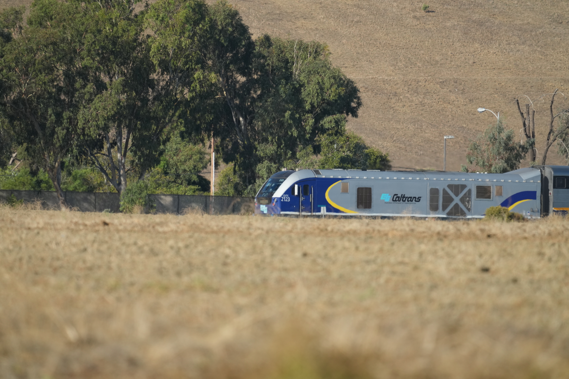 California Train