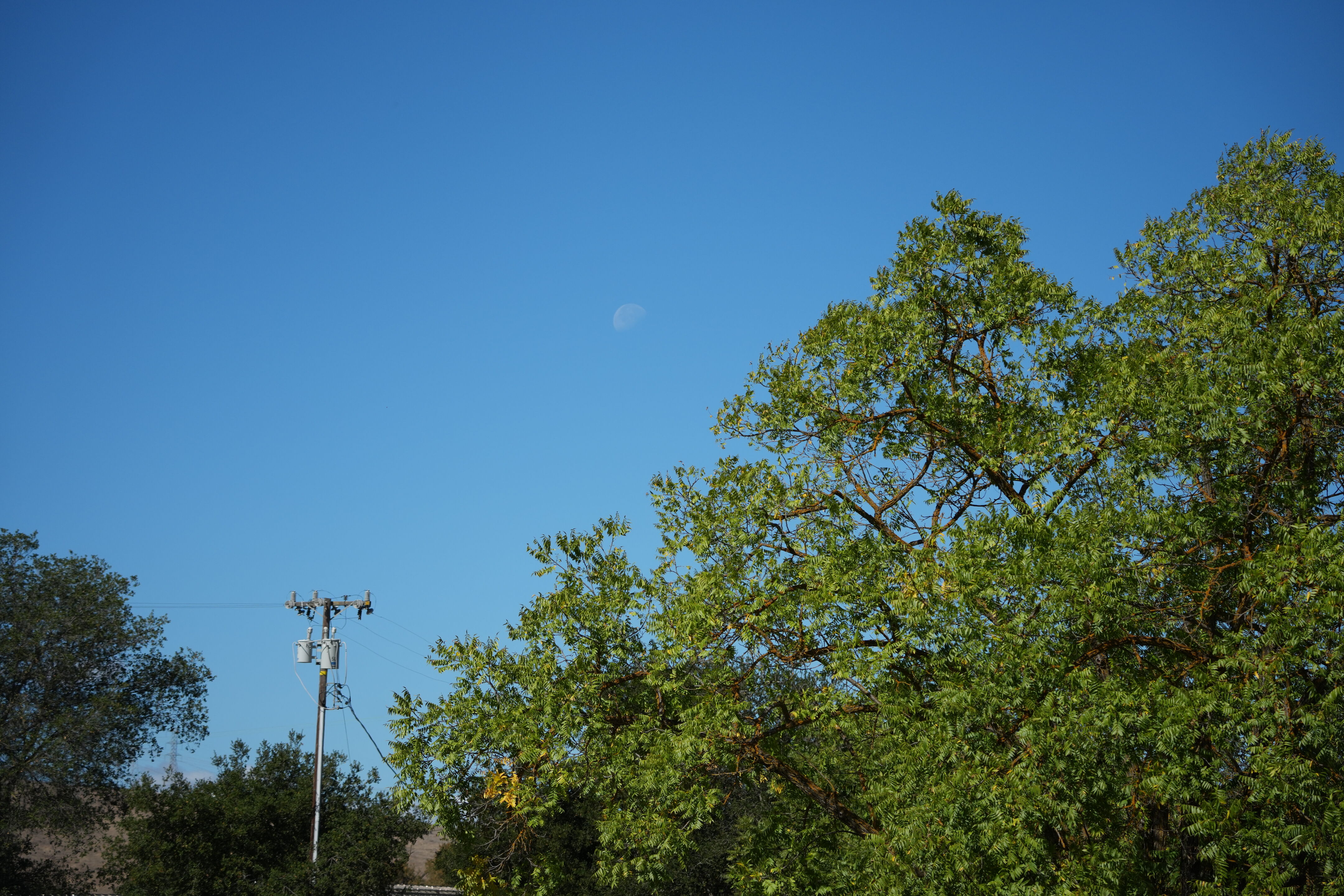 Coyote Creek Parkway