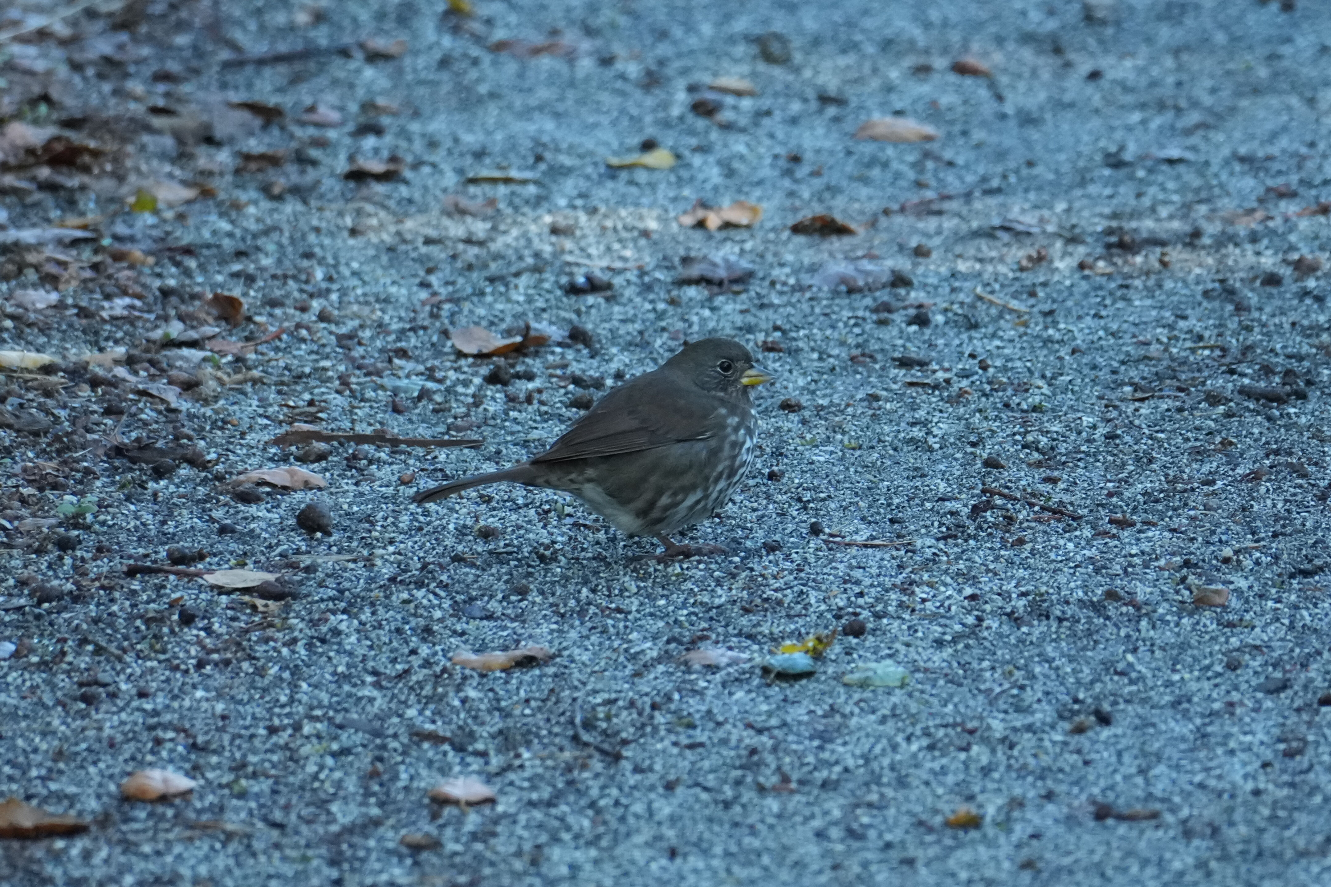 Ulistac Natural Area
