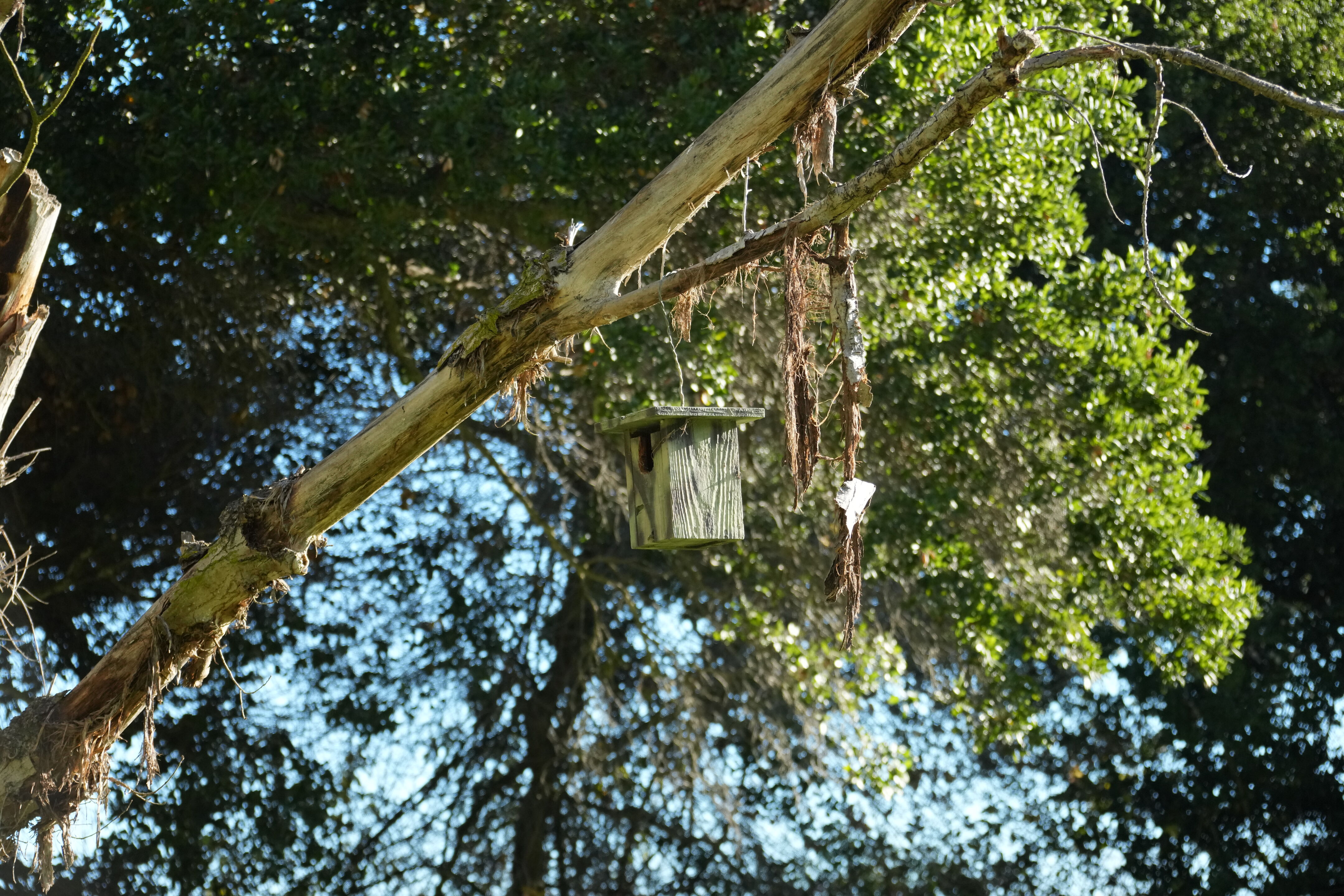 Ulistac Natural Area