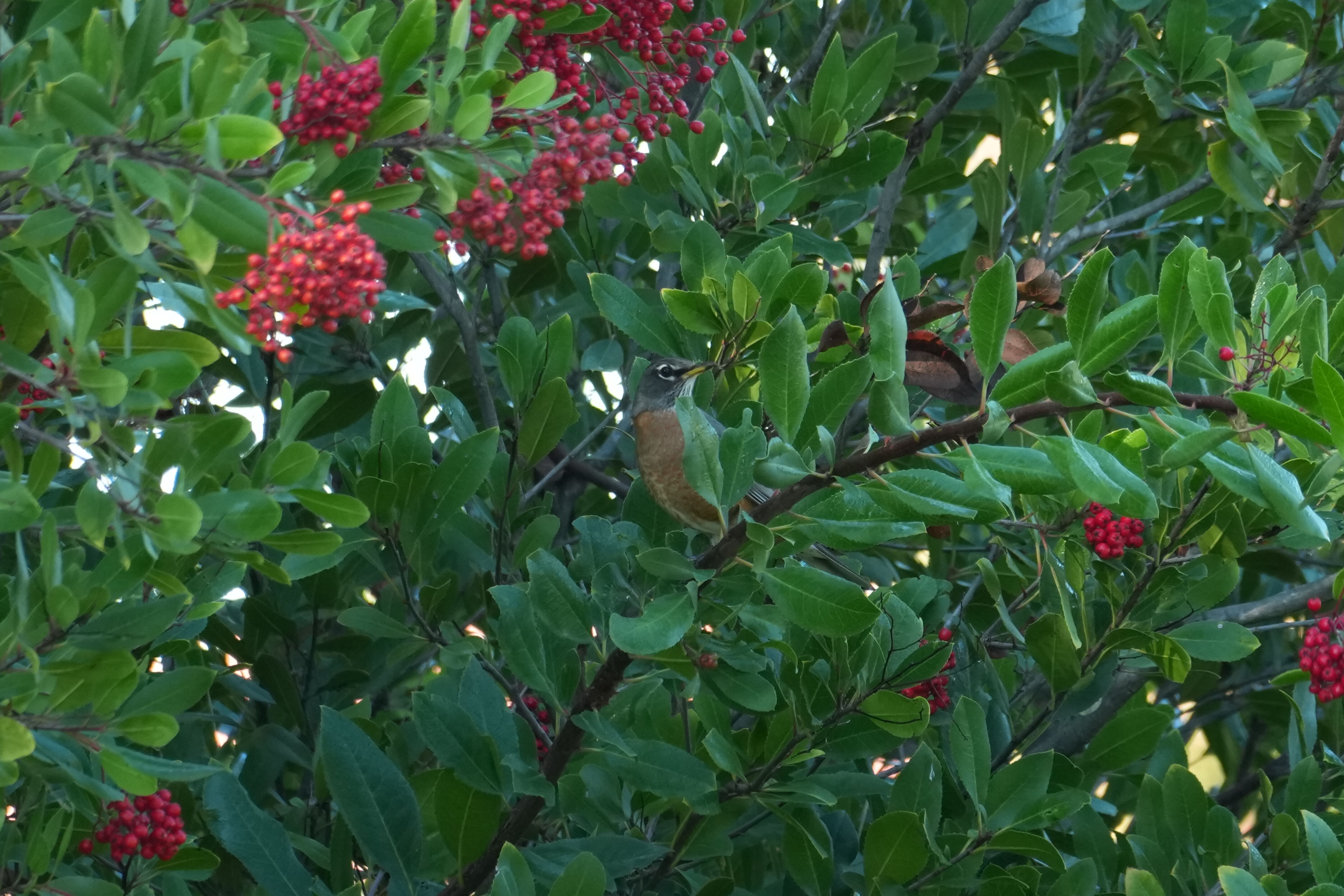 Ulistac Natural Area