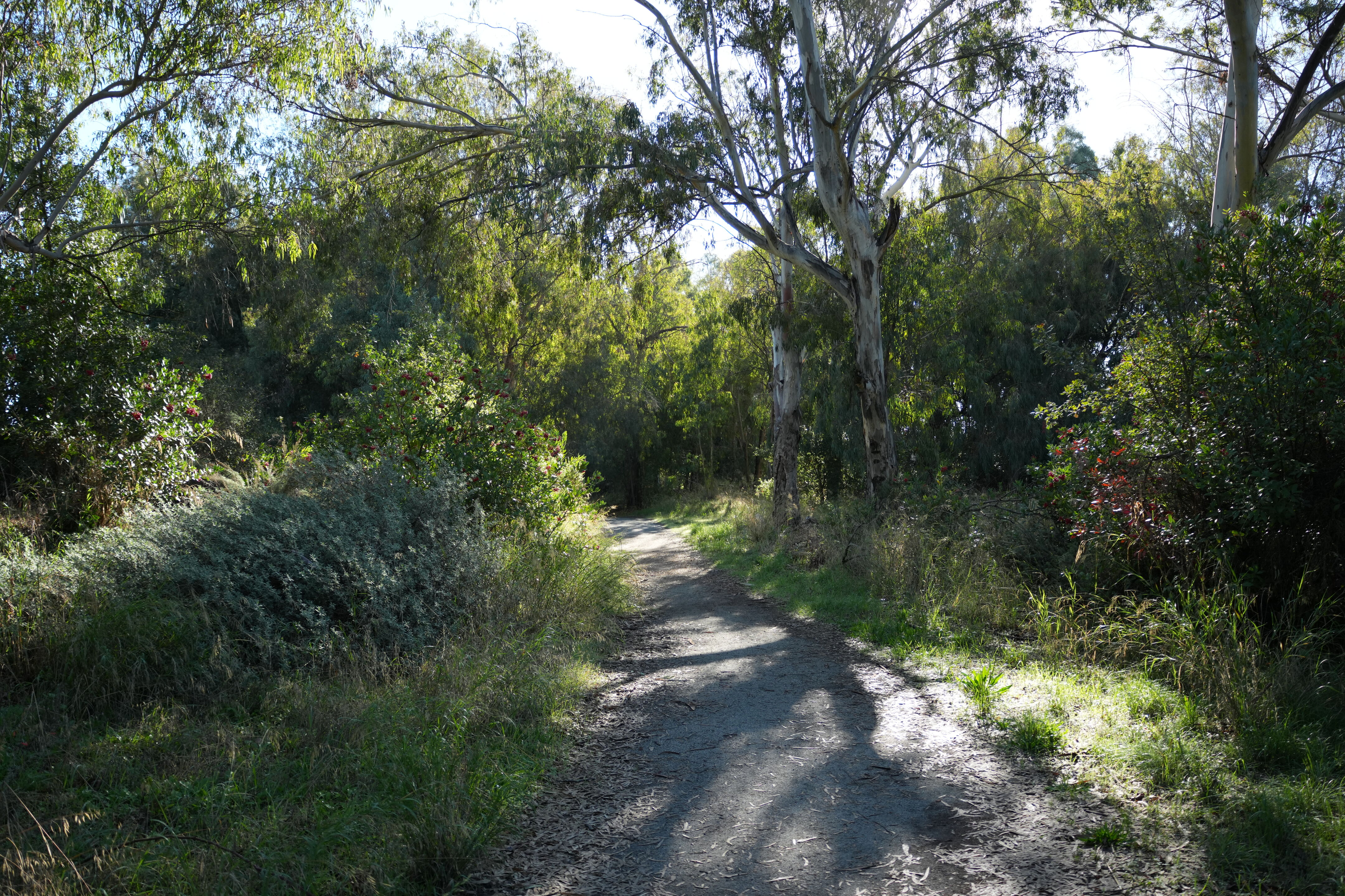Ulistac Natural Area