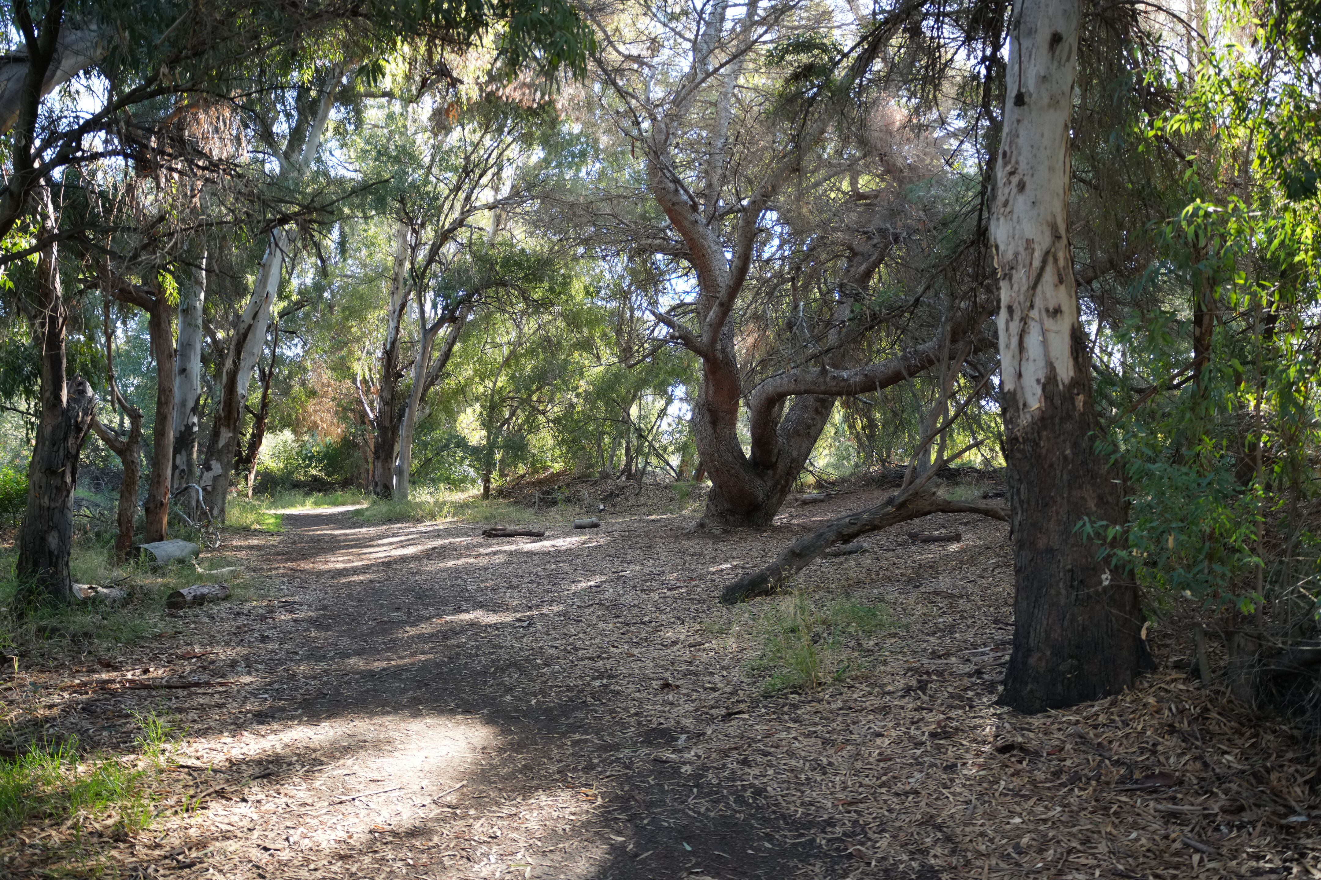 Ulistac Natural Area