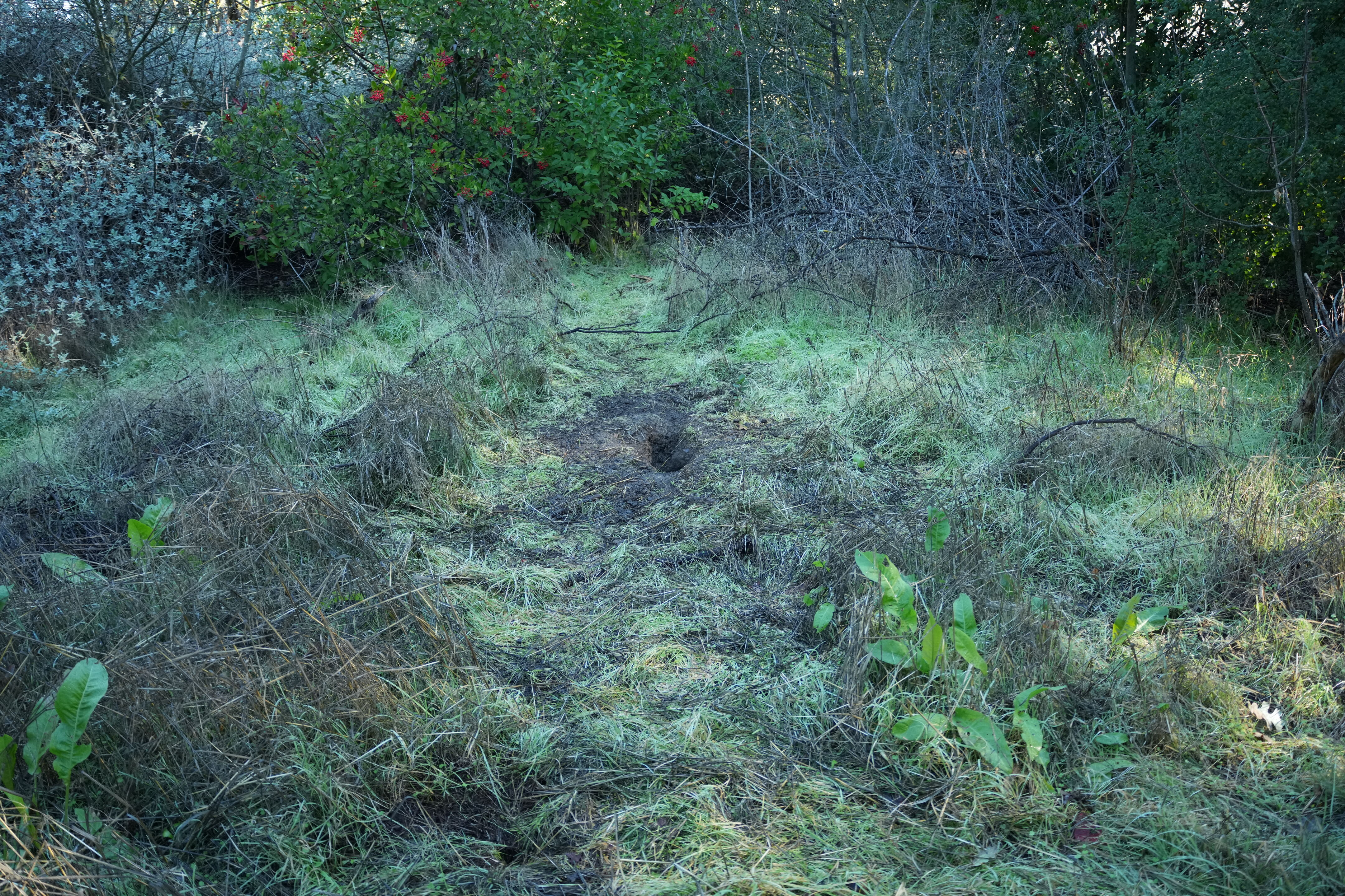 Ulistac Natural Area