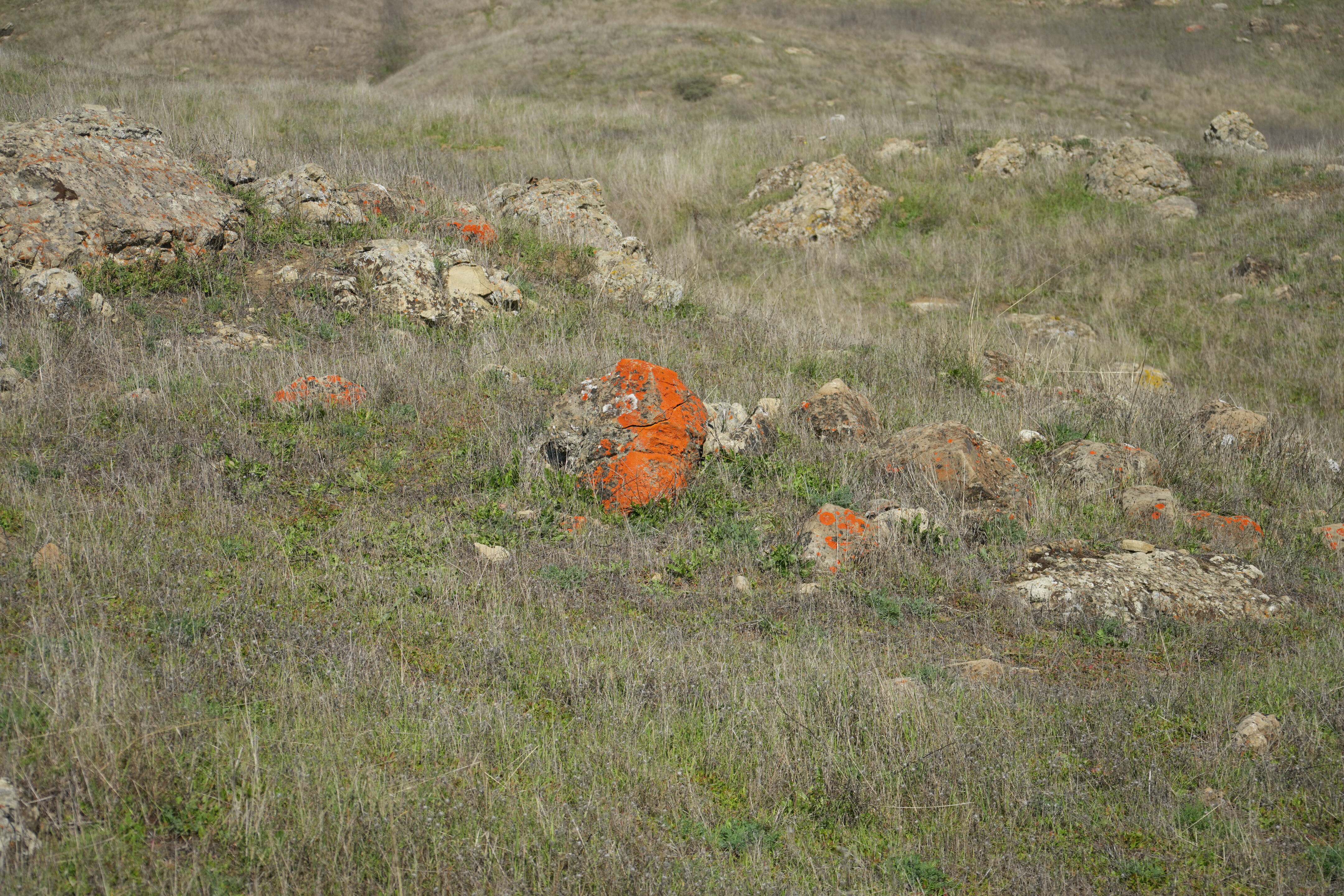 Ed R. Levin County Park