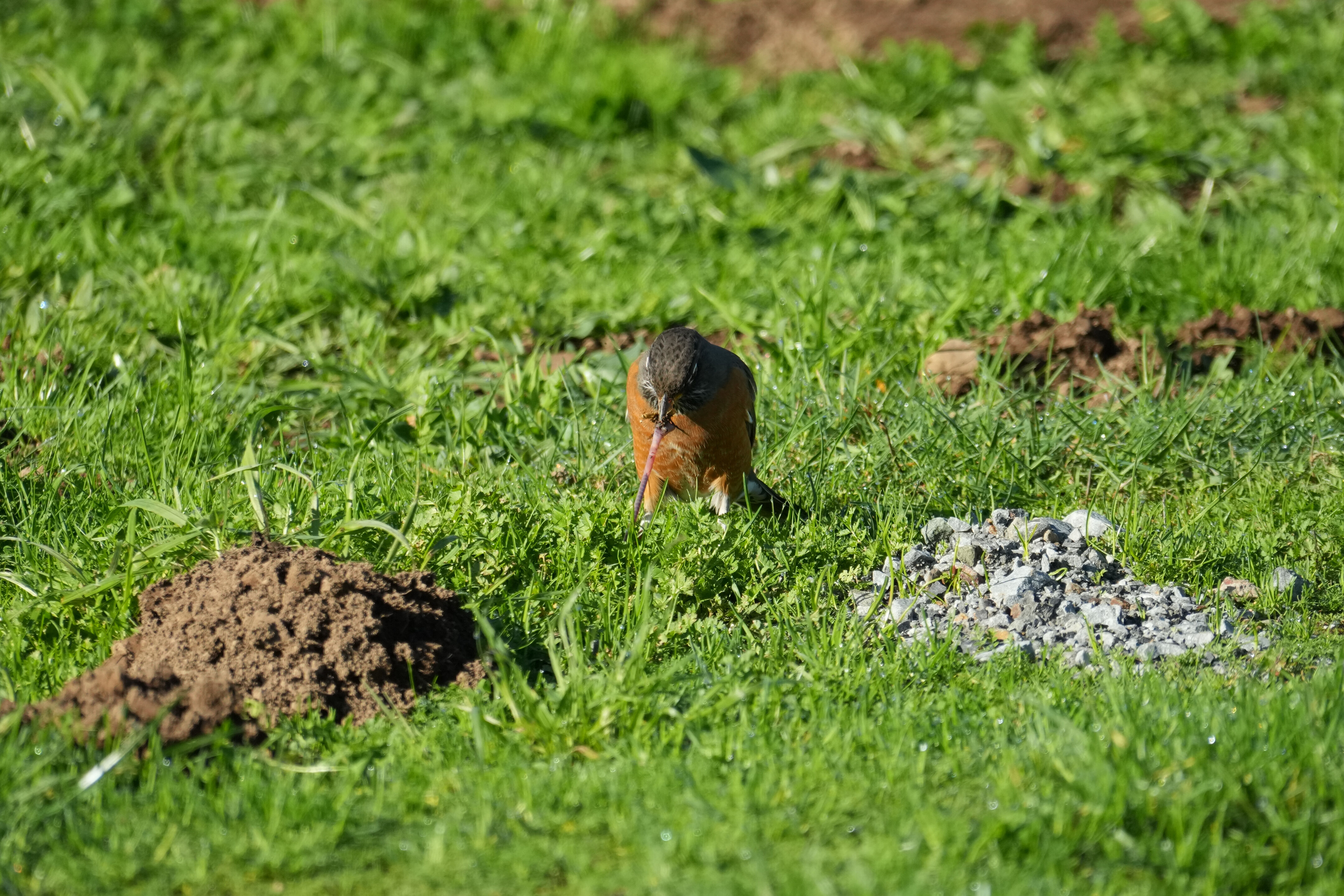 Point Reyes National Seashore - Bear Valley Visitor Center