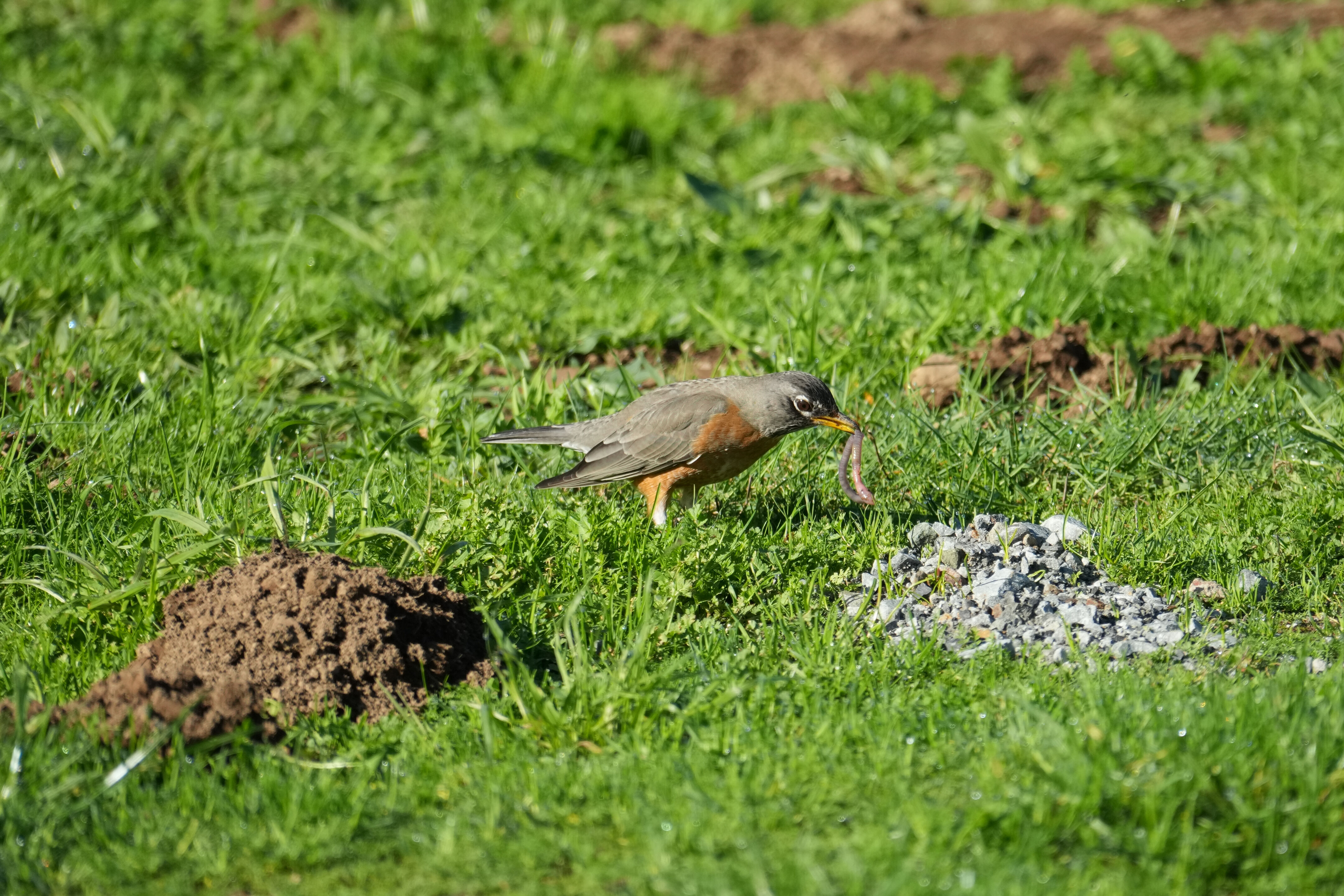 Point Reyes National Seashore - Bear Valley Visitor Center