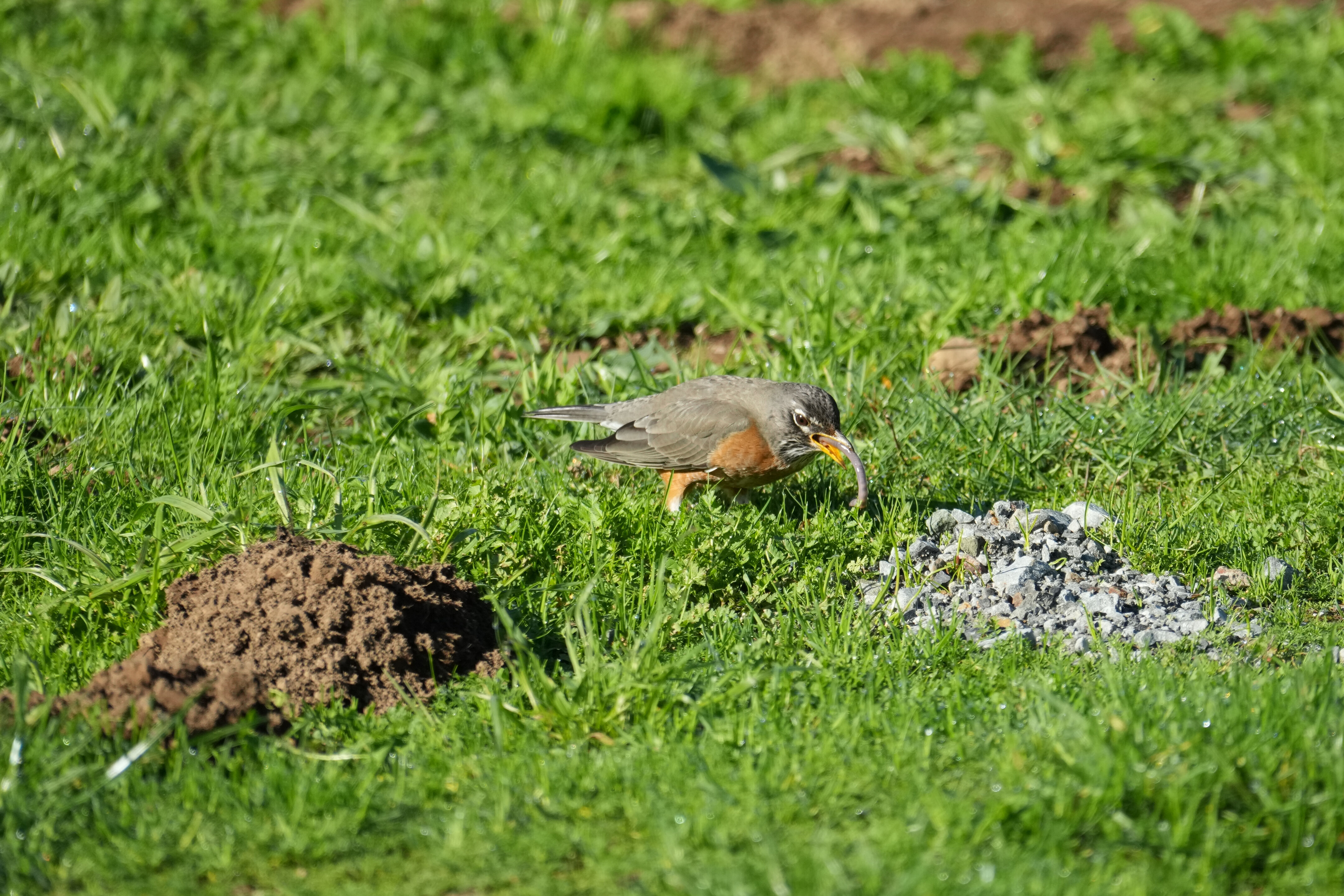 Point Reyes National Seashore - Bear Valley Visitor Center