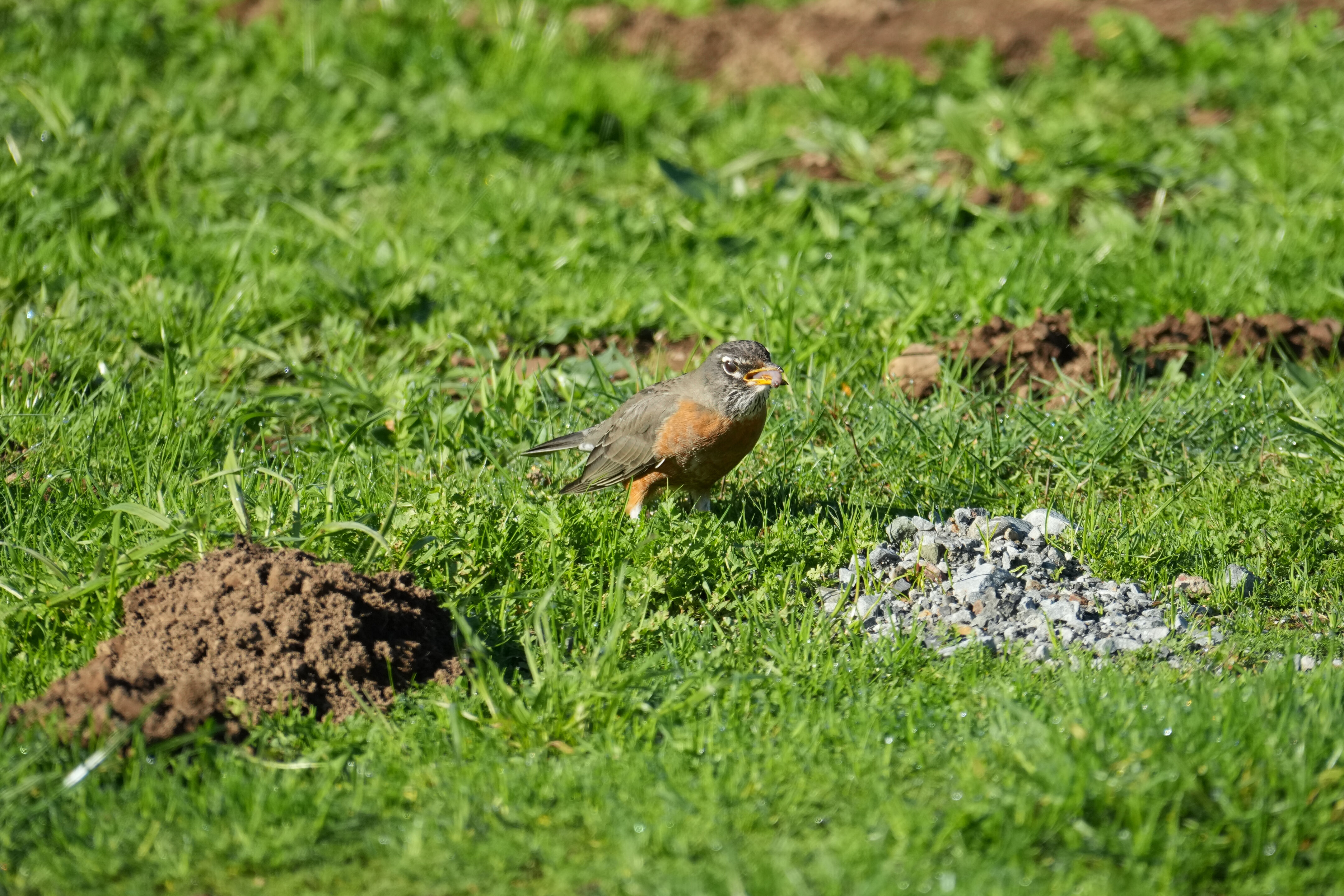Point Reyes National Seashore - Bear Valley Visitor Center