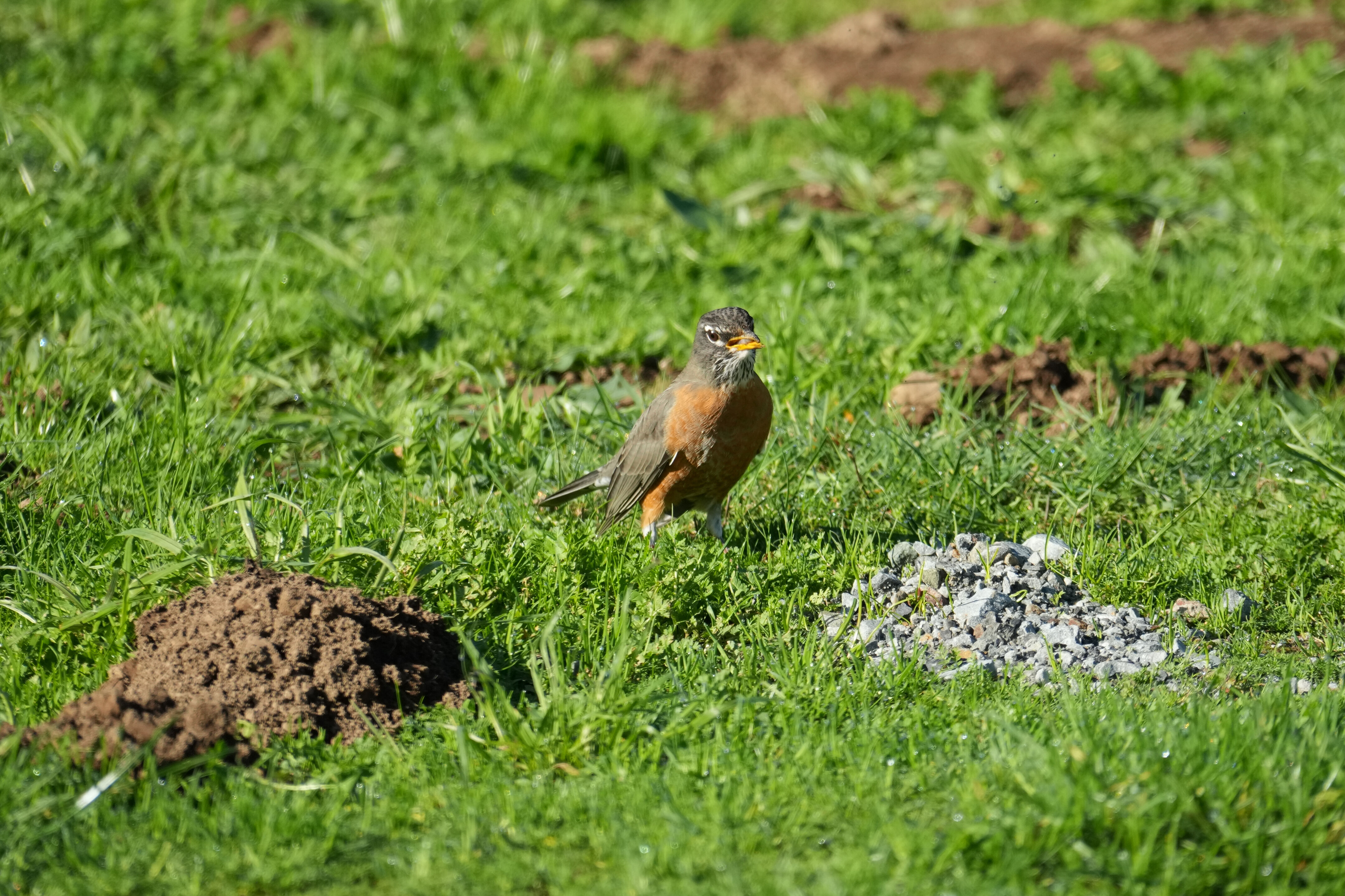 Point Reyes National Seashore - Bear Valley Visitor Center