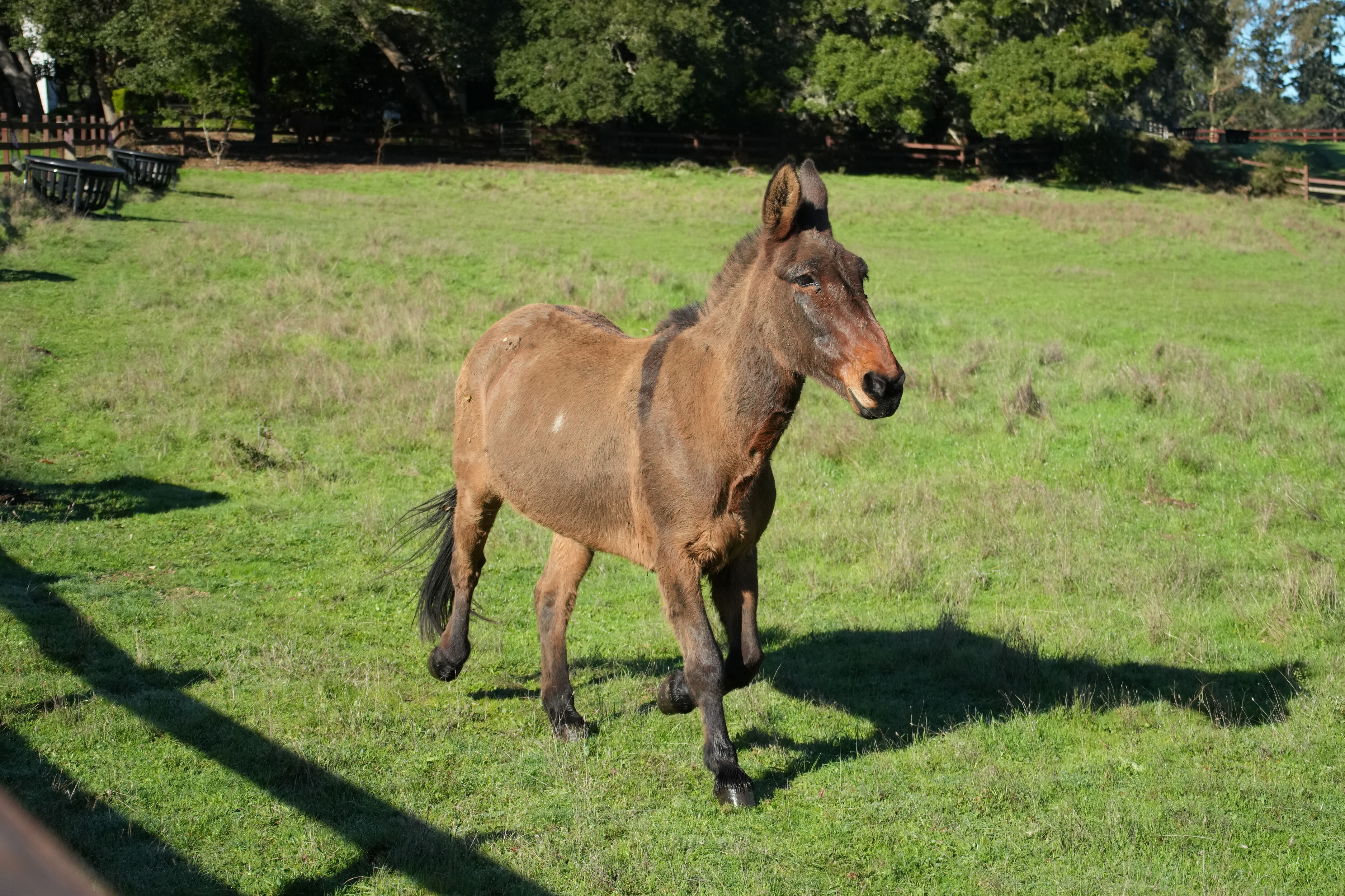 Point Reyes National Seashore - Bear Valley Visitor Center