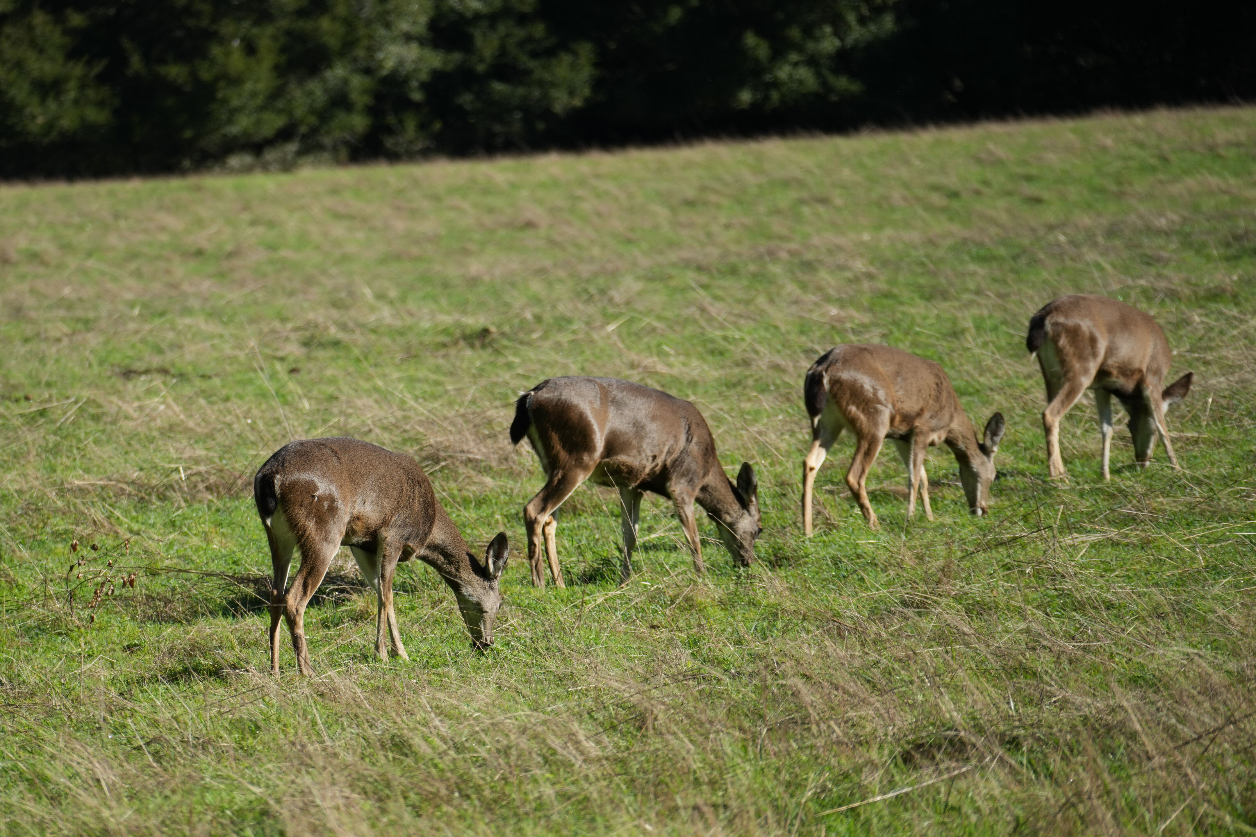 Point Reyes National Seashore - Bear Valley Visitor Center