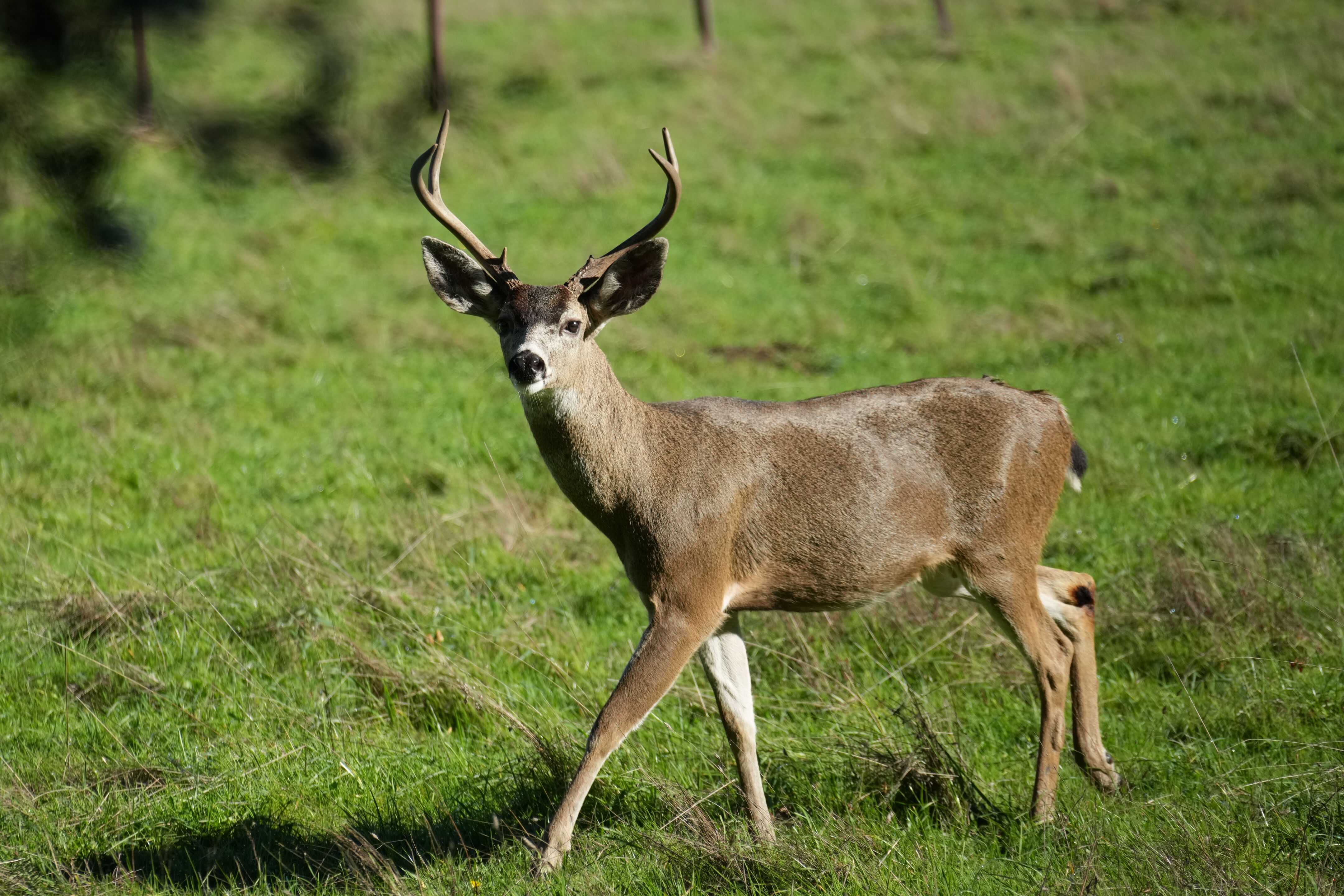 Point Reyes National Seashore - Bear Valley Visitor Center