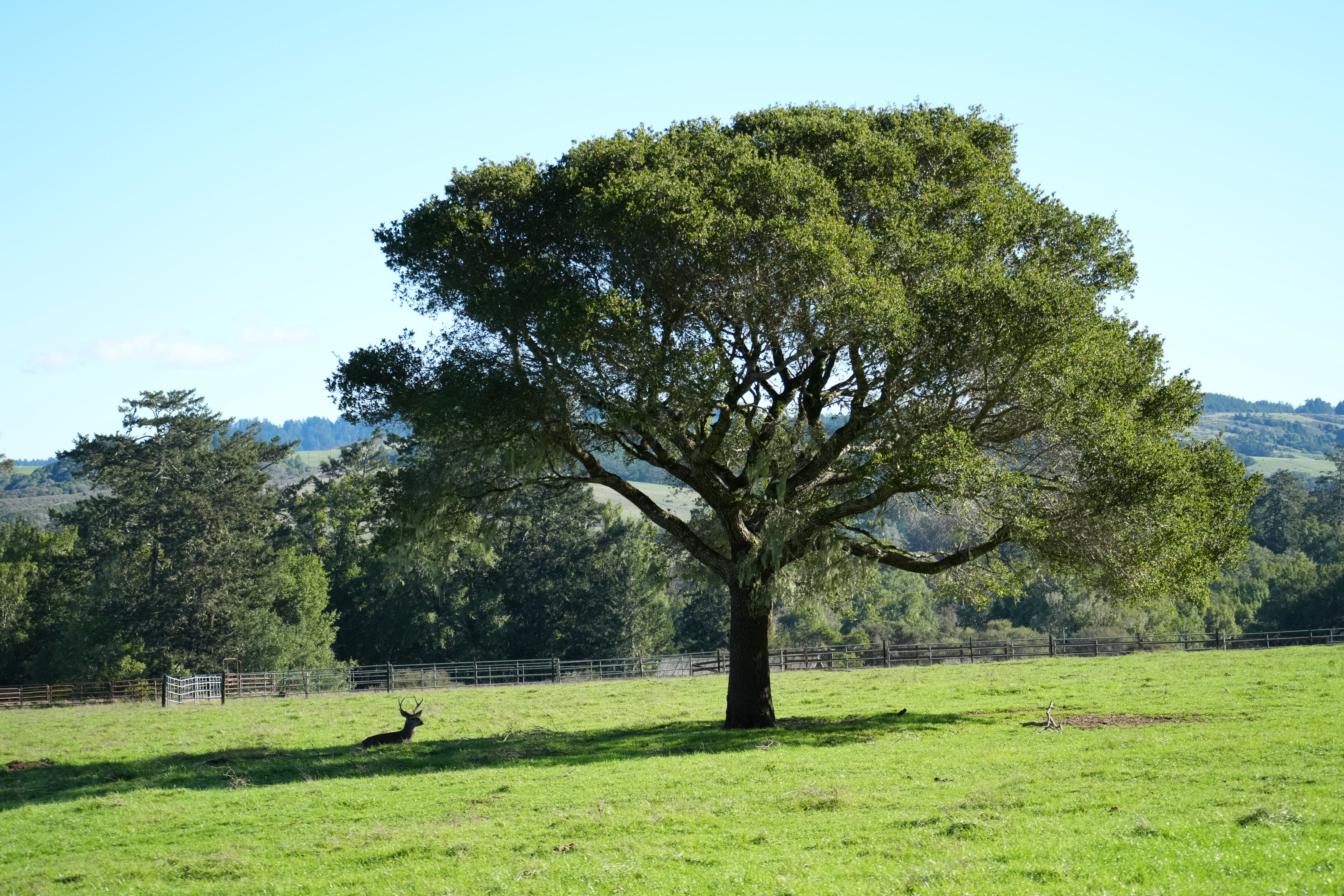 Point Reyes National Seashore - Bear Valley Visitor Center