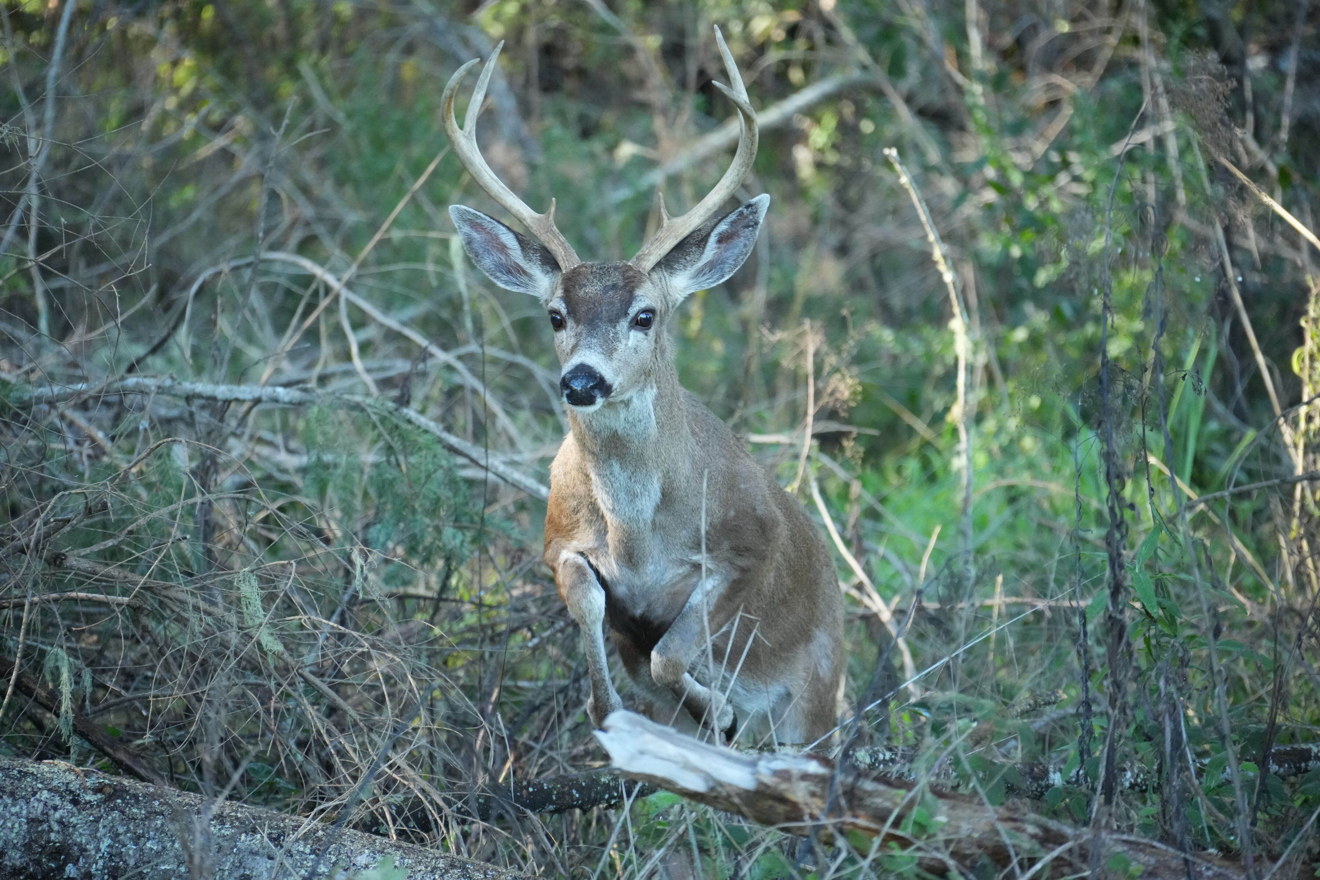 Point Reyes National Seashore - Bear Valley Visitor Center