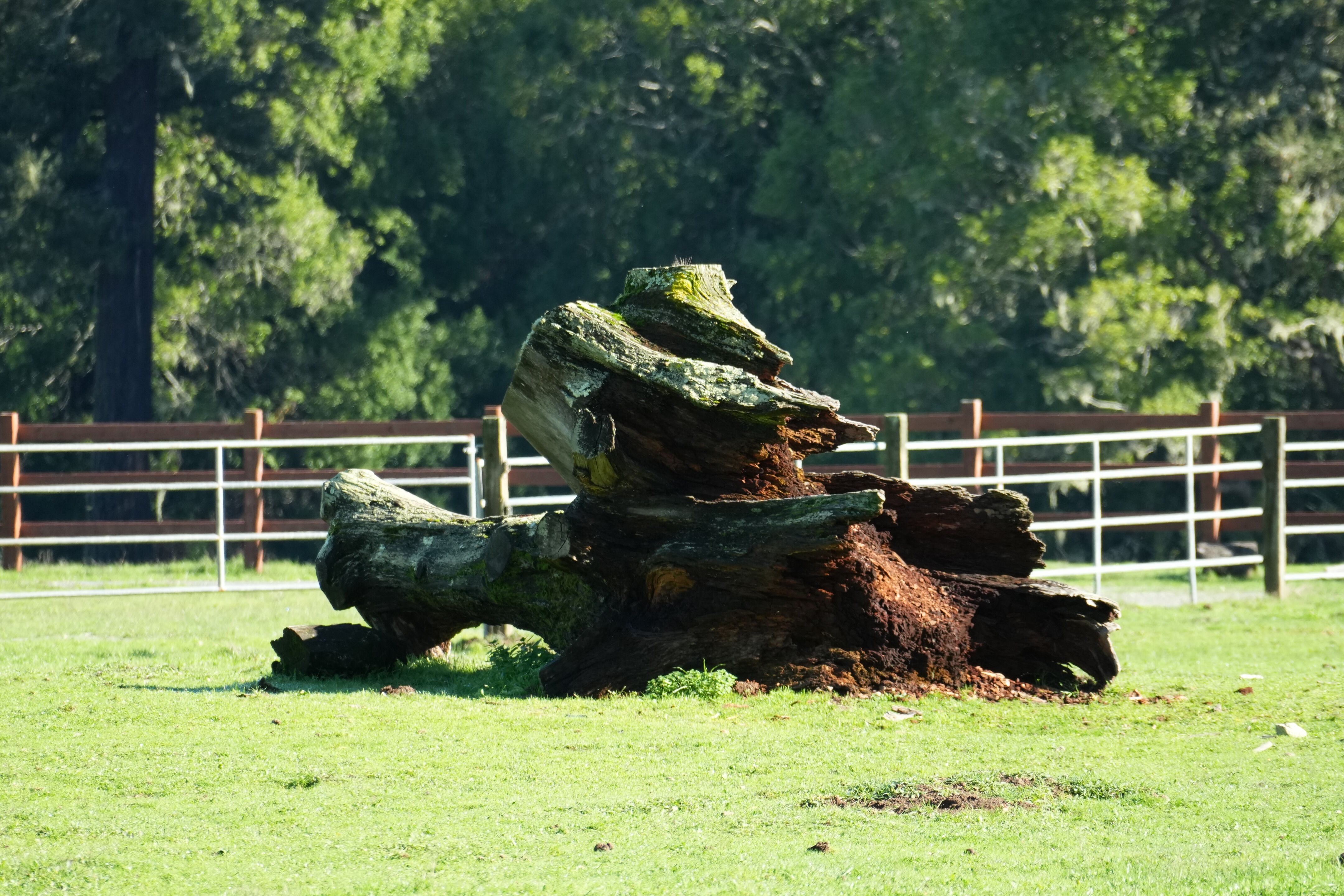 Point Reyes National Seashore - Bear Valley Visitor Center
