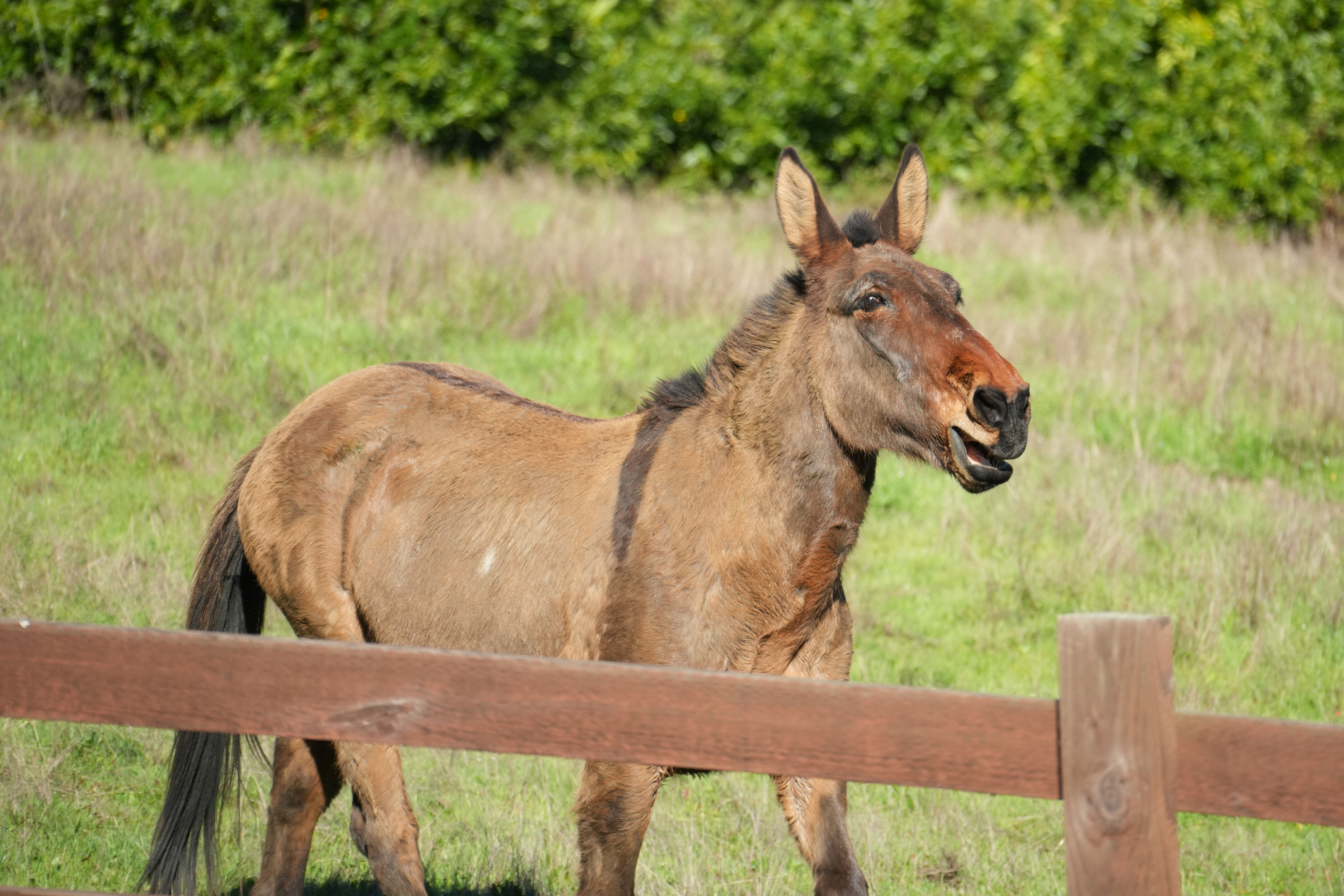 Point Reyes National Seashore - Bear Valley Visitor Center