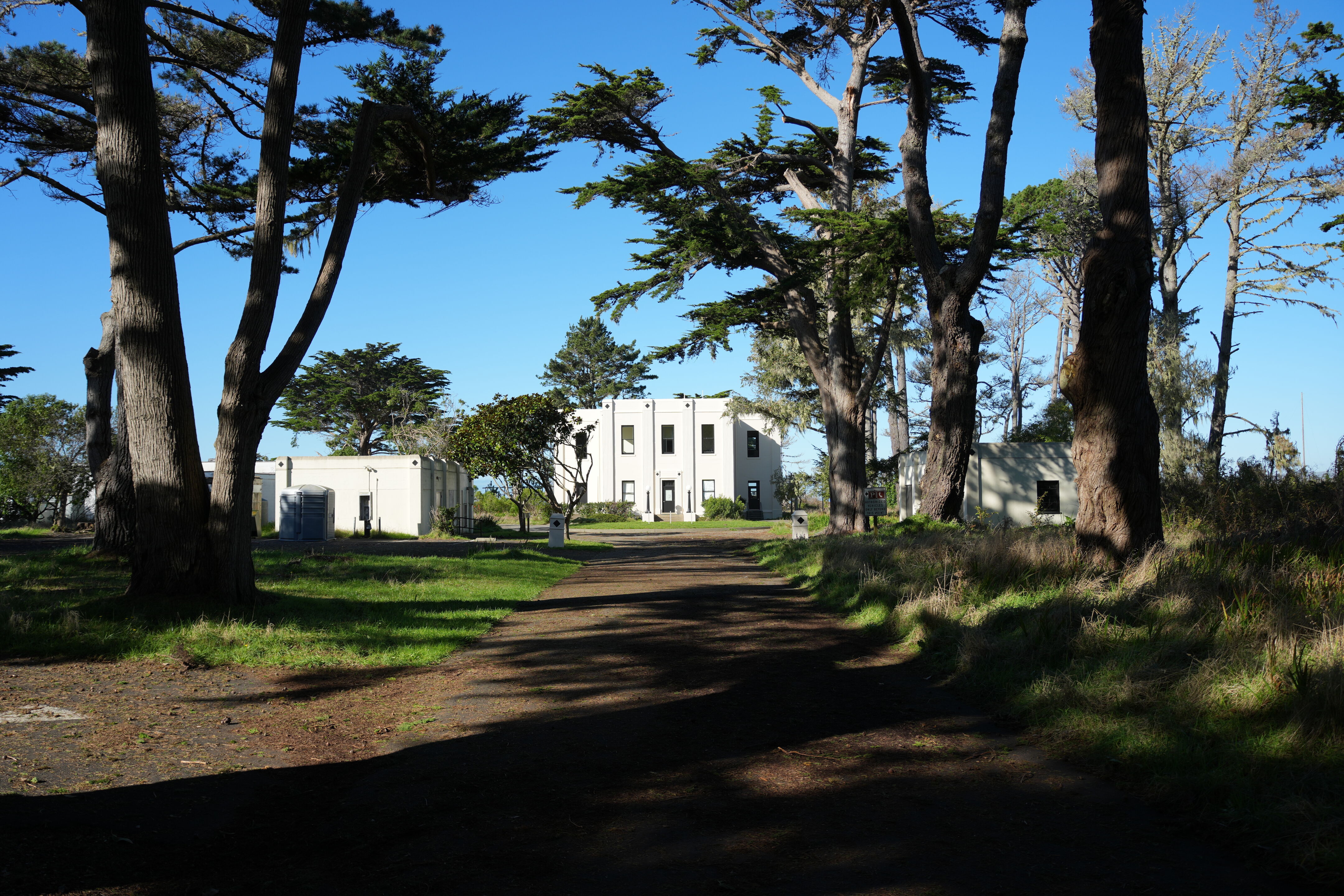 Point Reyes National Seashore - Cypress Tree Tunnel