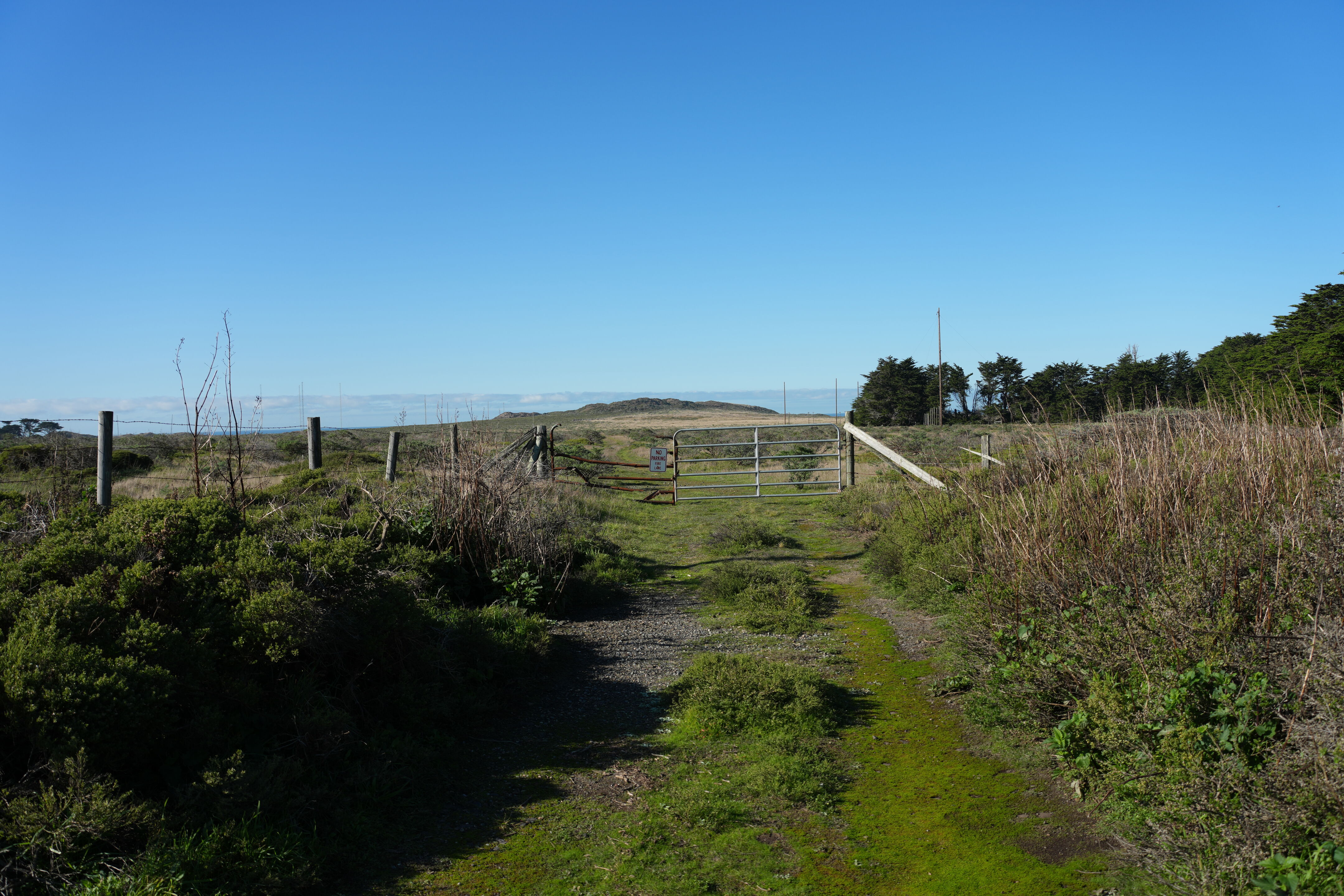 Point Reyes National Seashore - Cypress Tree Tunnel