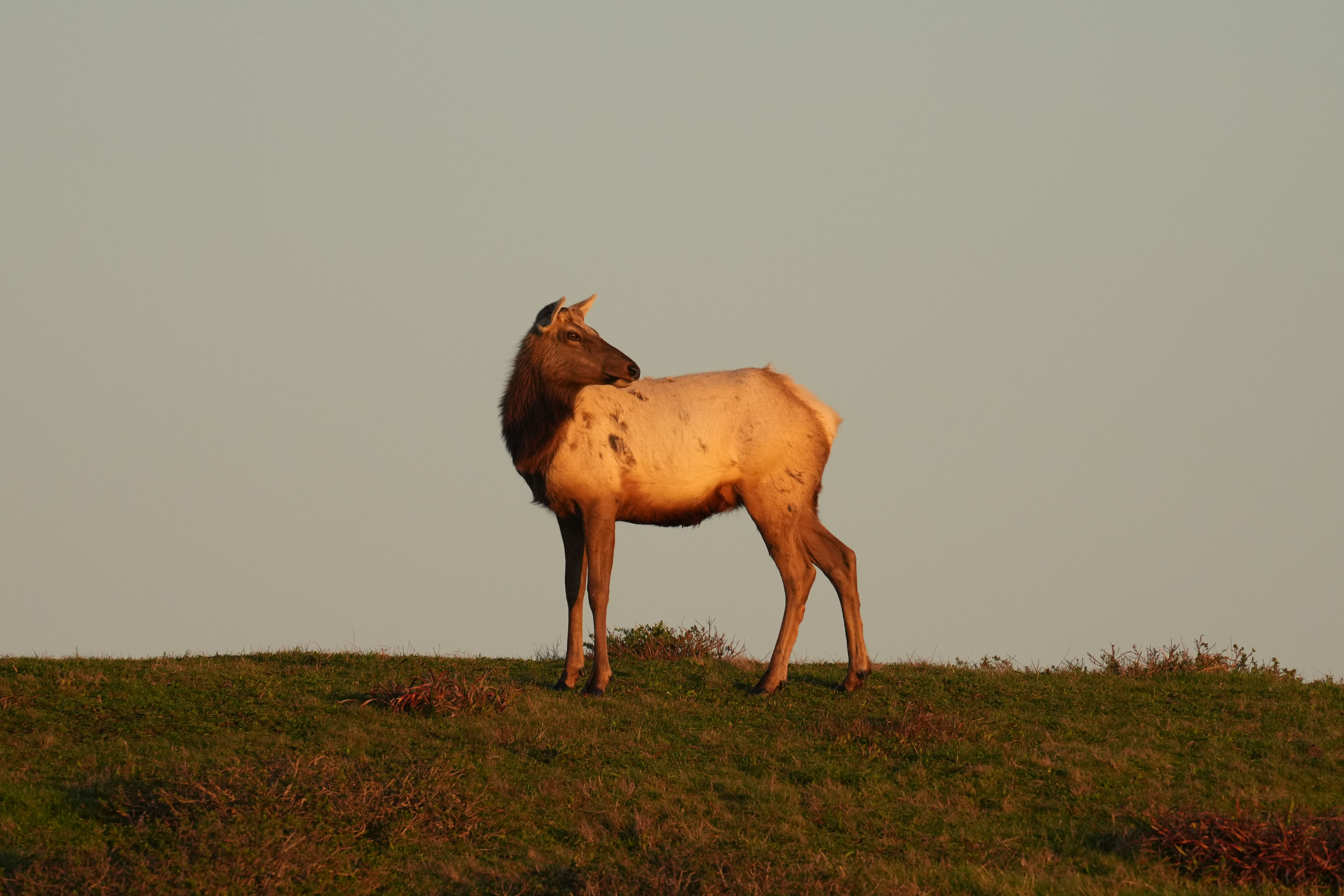 Point Reyes National Seashore - Historic Ranches