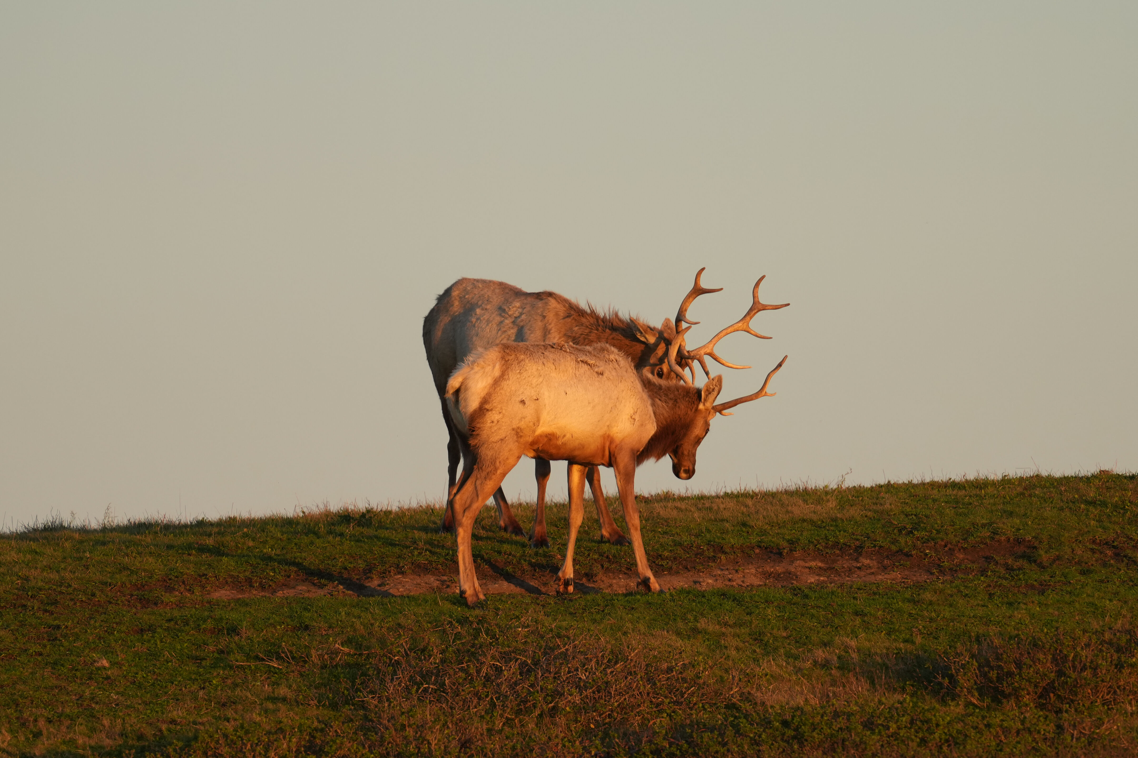 Point Reyes National Seashore - Historic Ranches