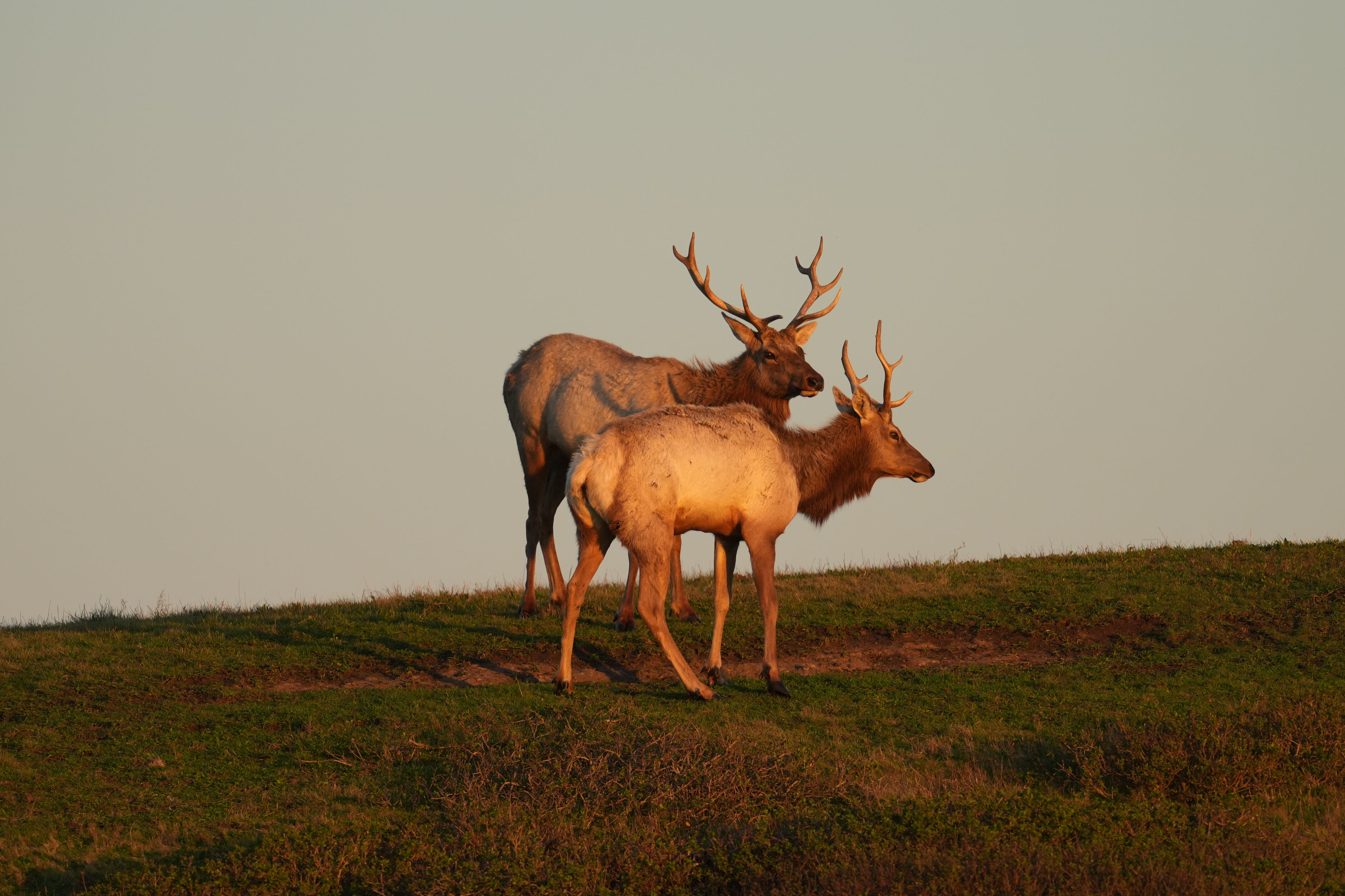 Point Reyes National Seashore - Historic Ranches