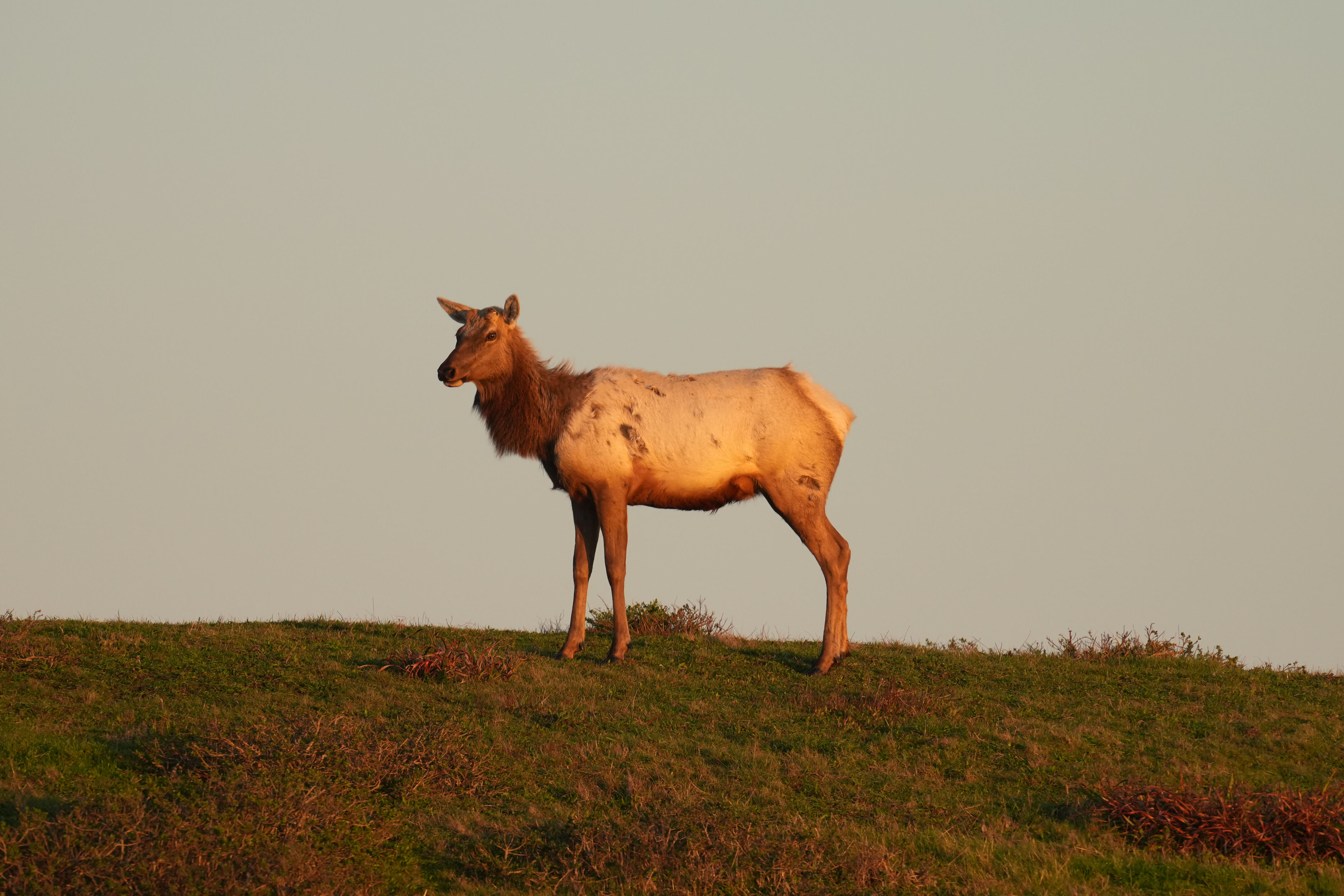 Point Reyes National Seashore - Historic Ranches