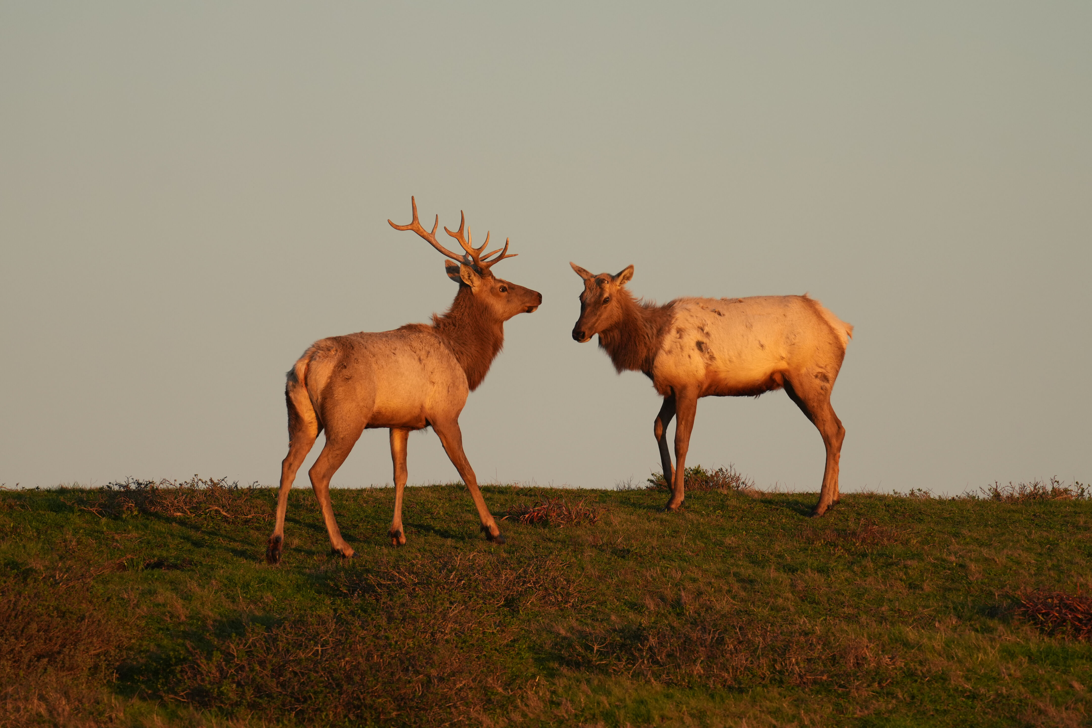 Point Reyes National Seashore - Historic Ranches