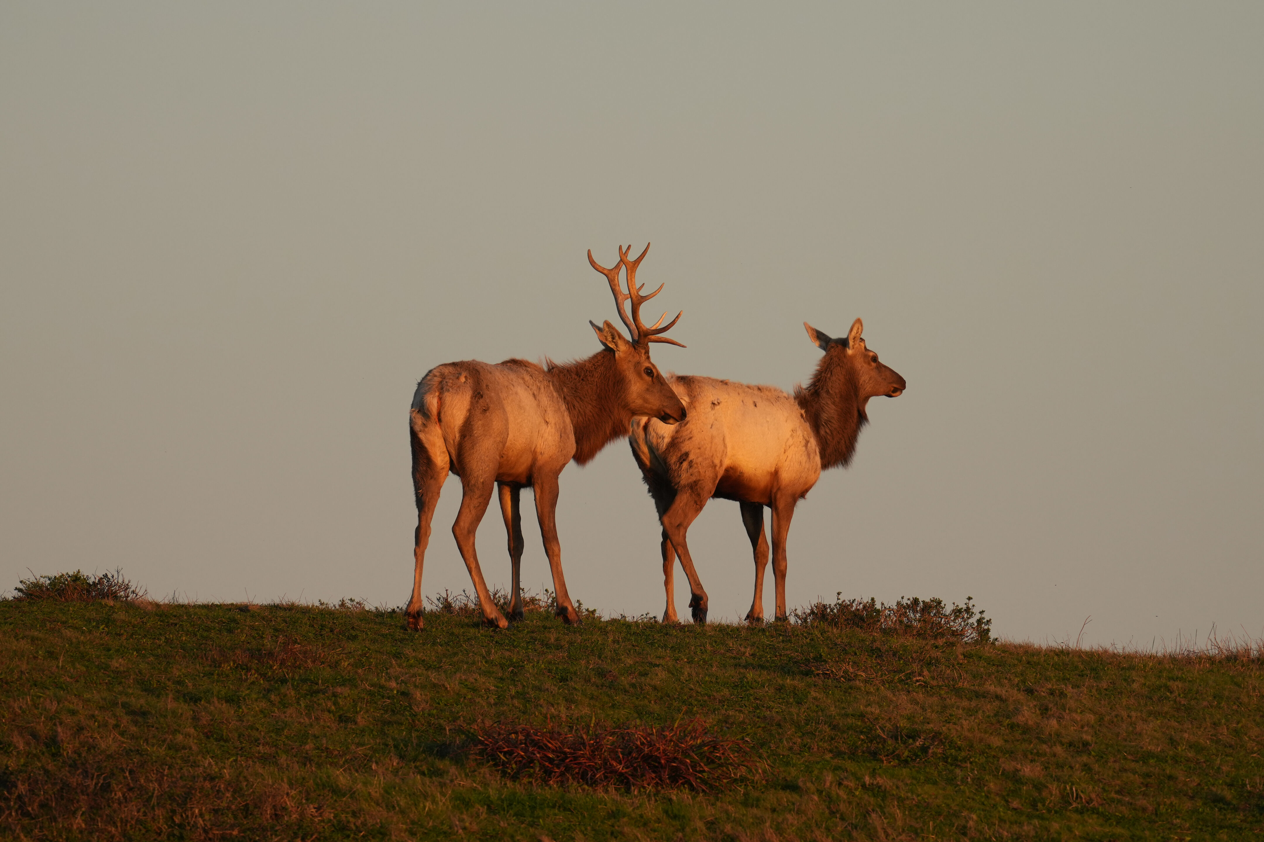Point Reyes National Seashore - Historic Ranches