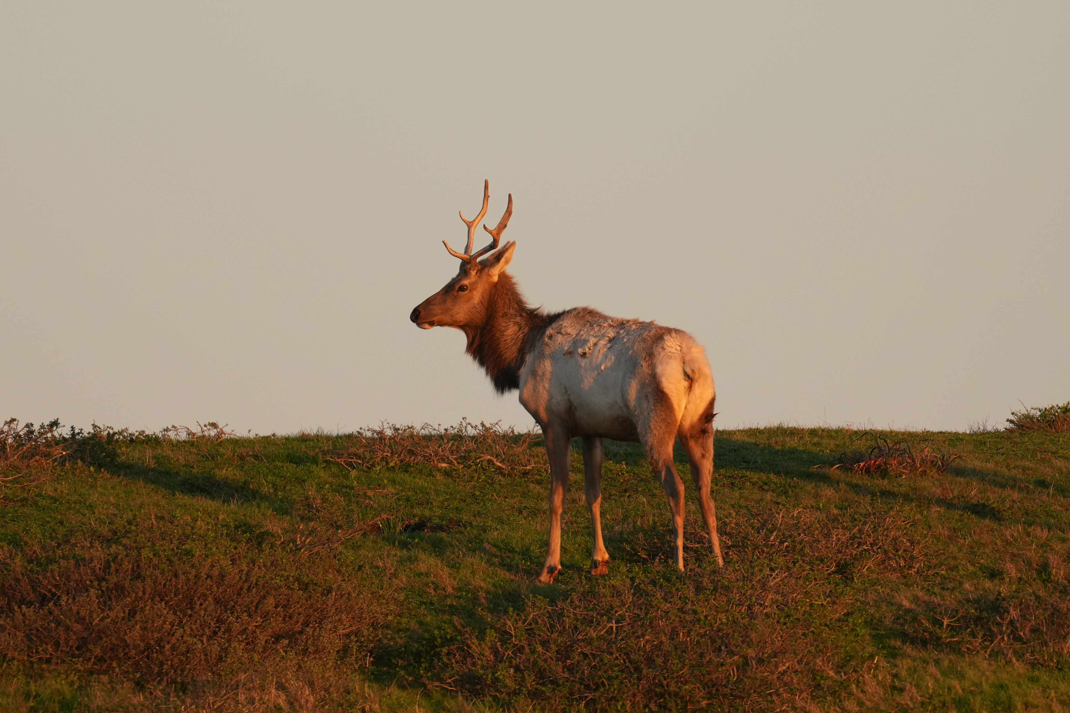 Point Reyes National Seashore - Historic Ranches