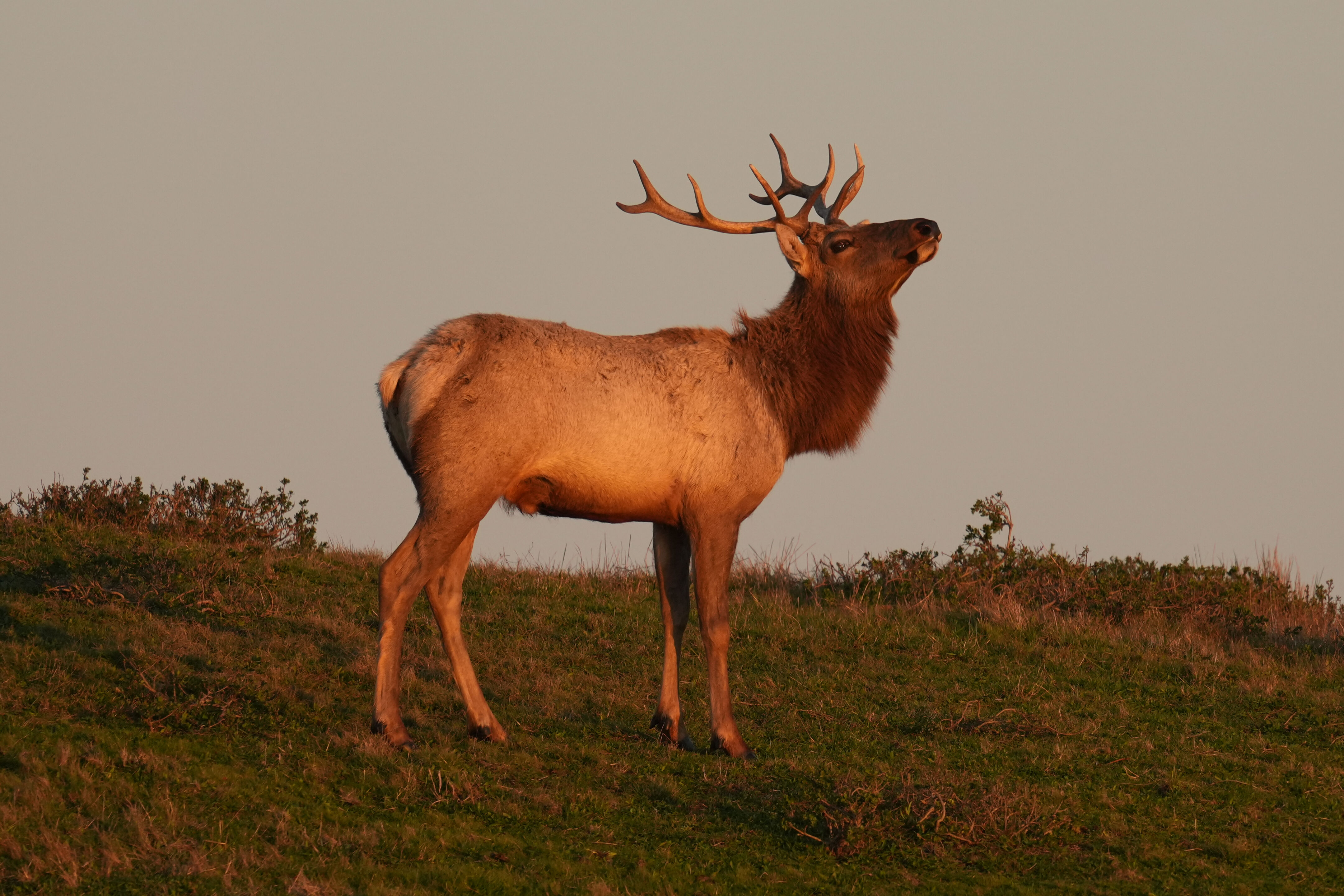 Point Reyes National Seashore - Historic Ranches