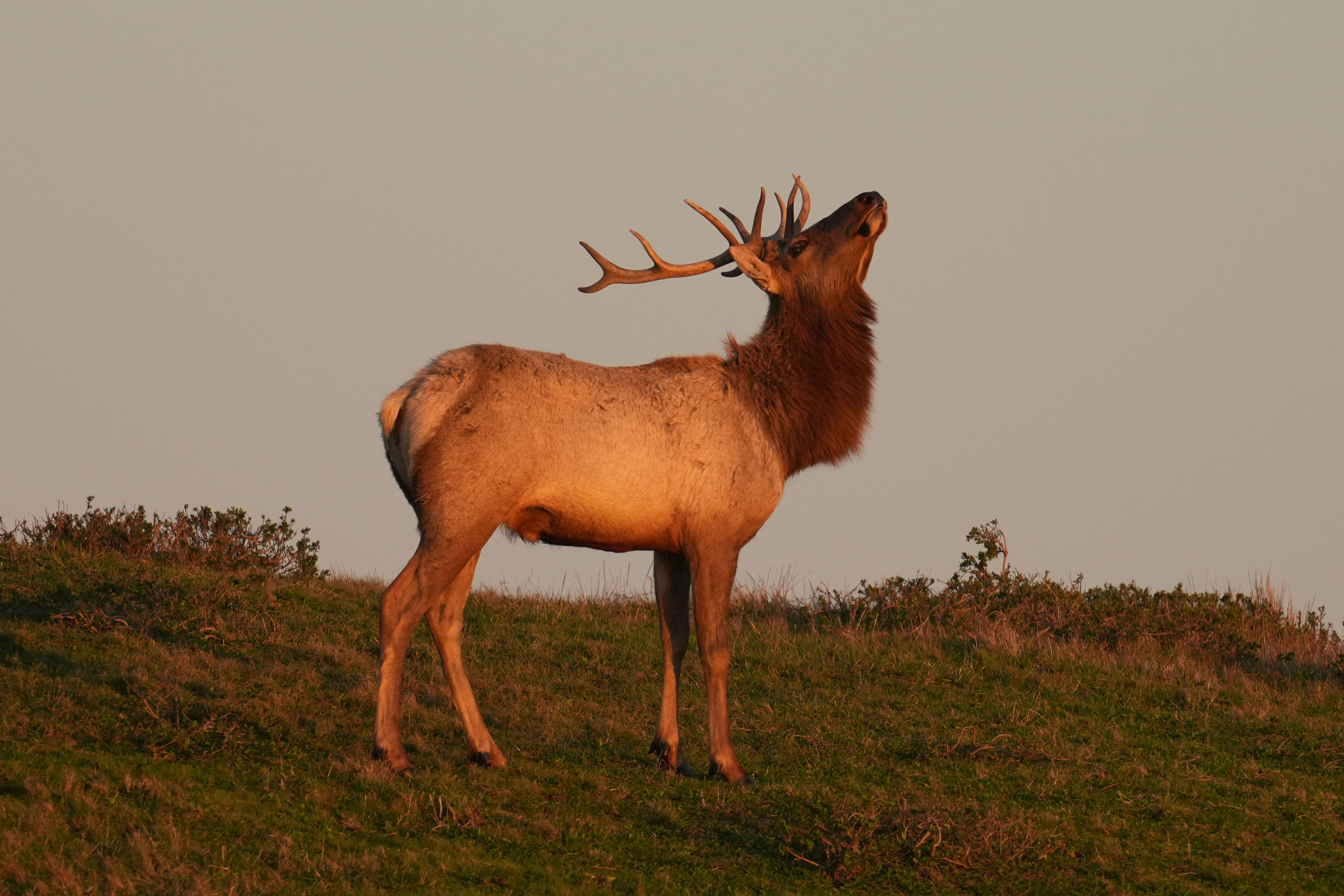 Point Reyes National Seashore - Historic Ranches