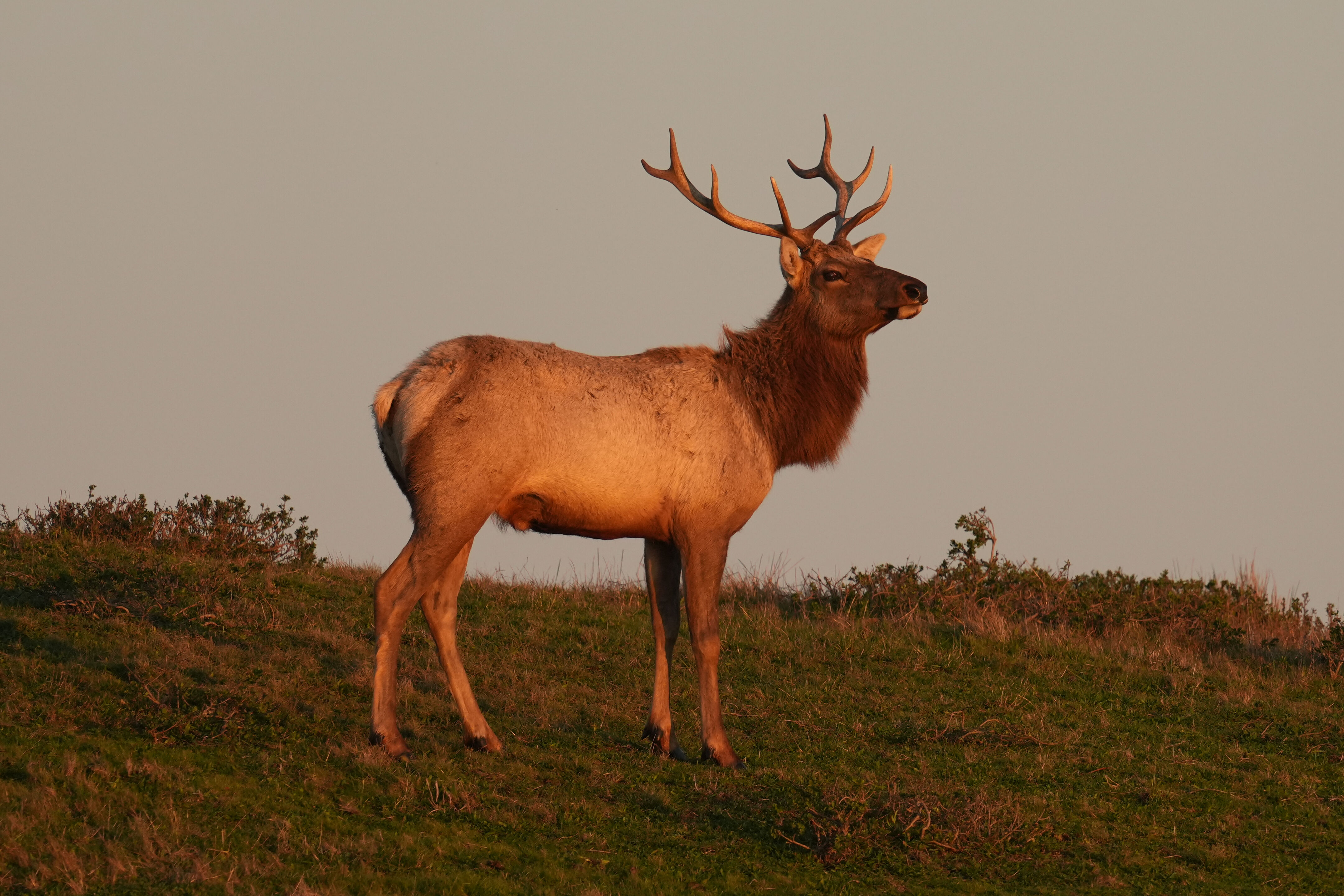 Point Reyes National Seashore - Historic Ranches