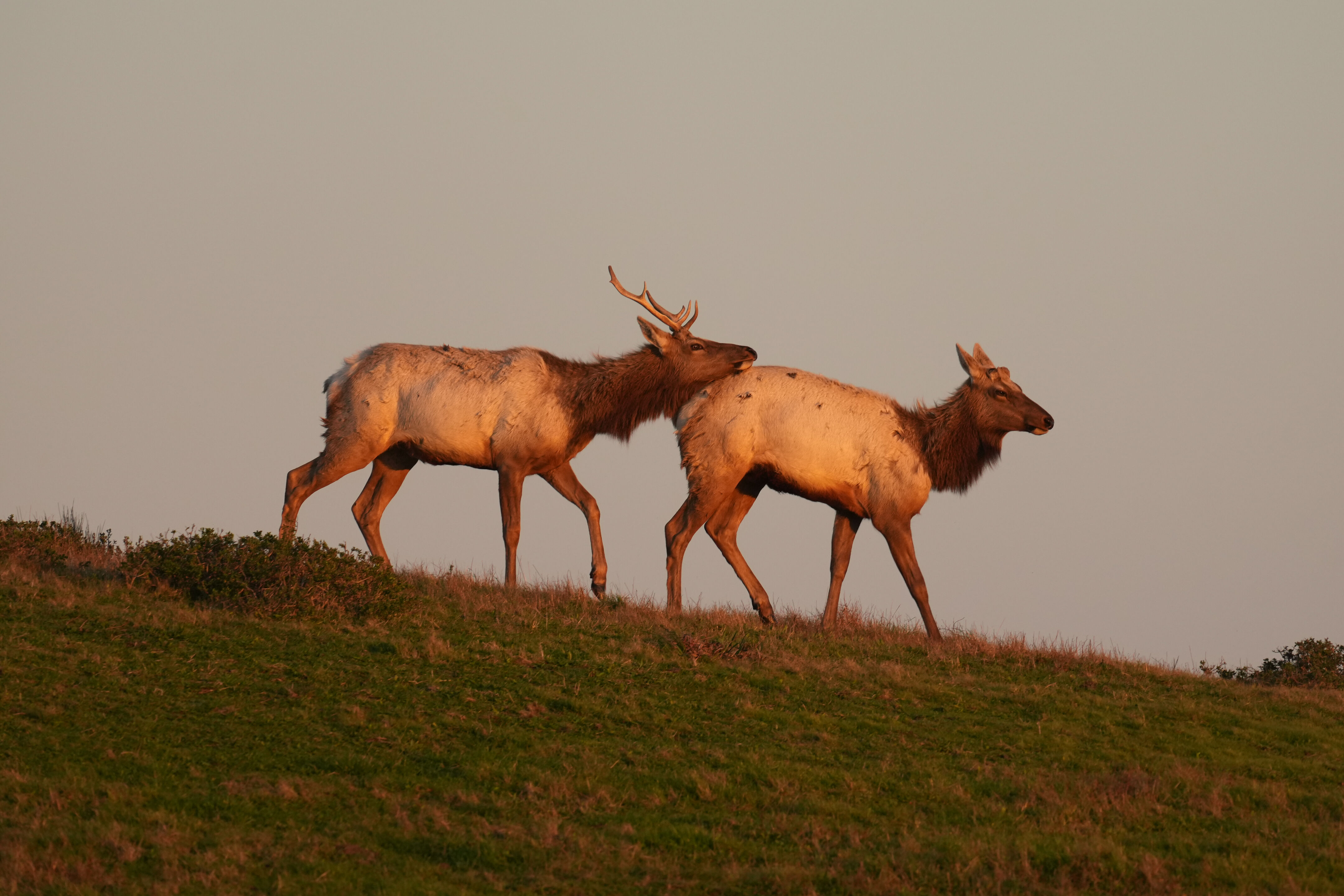 Point Reyes National Seashore - Historic Ranches