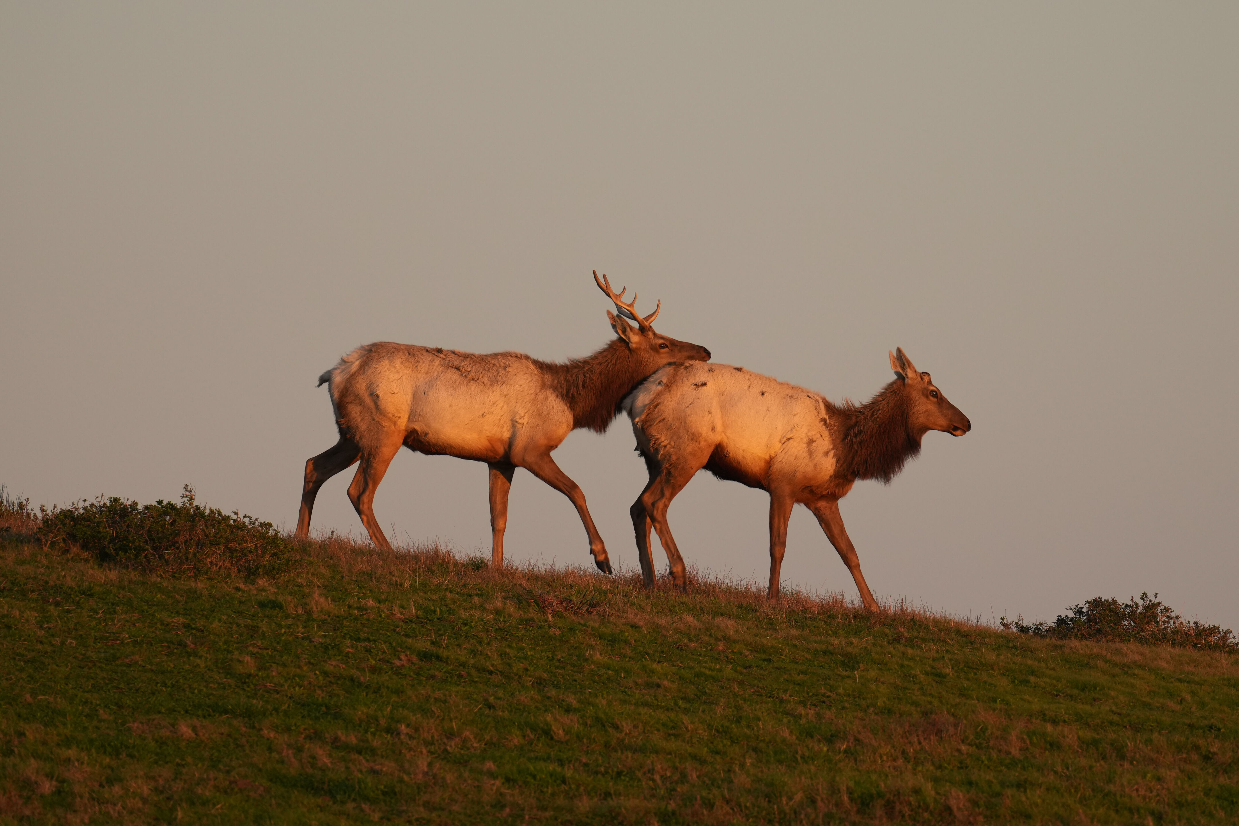 Point Reyes National Seashore - Historic Ranches