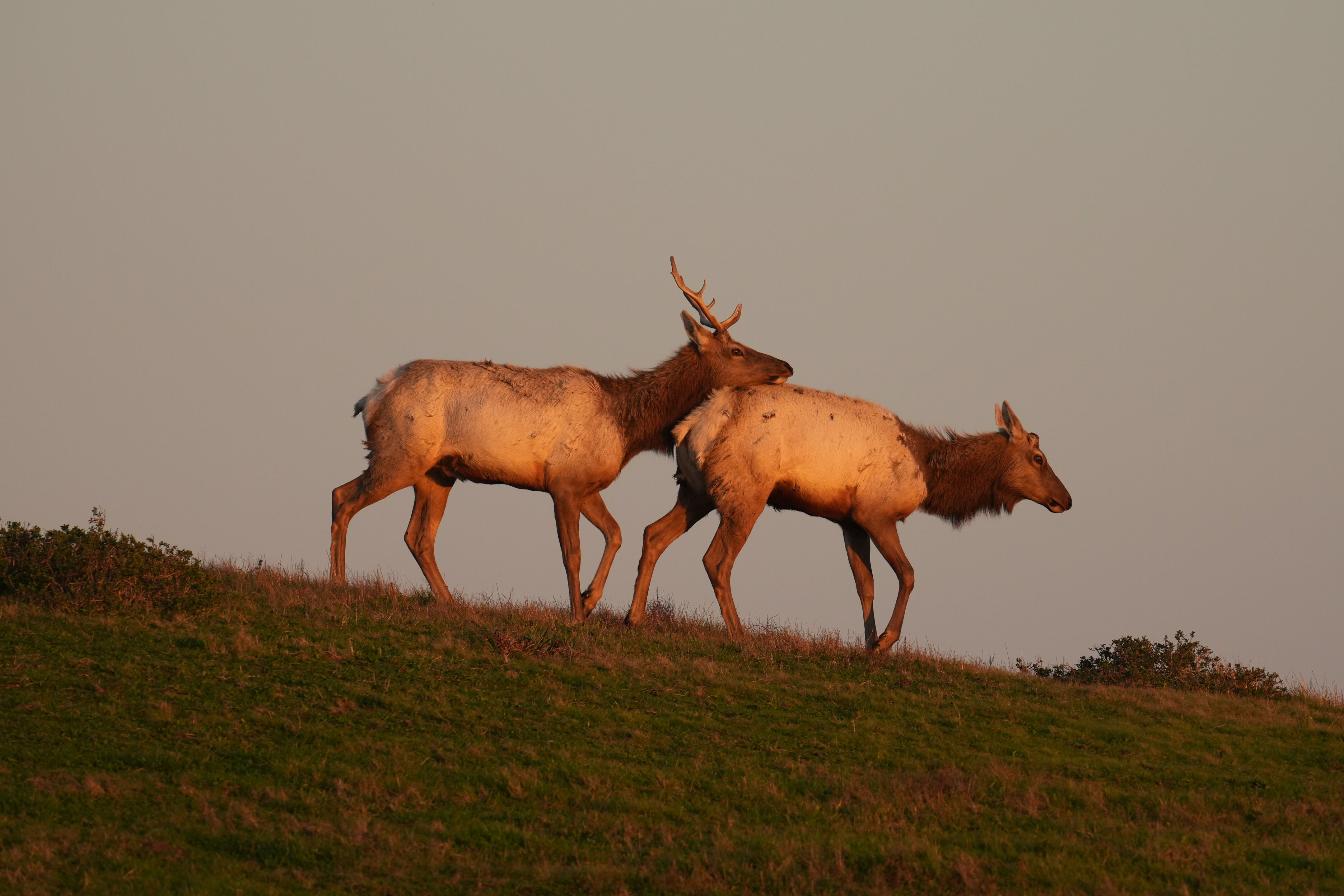 Point Reyes National Seashore - Historic Ranches