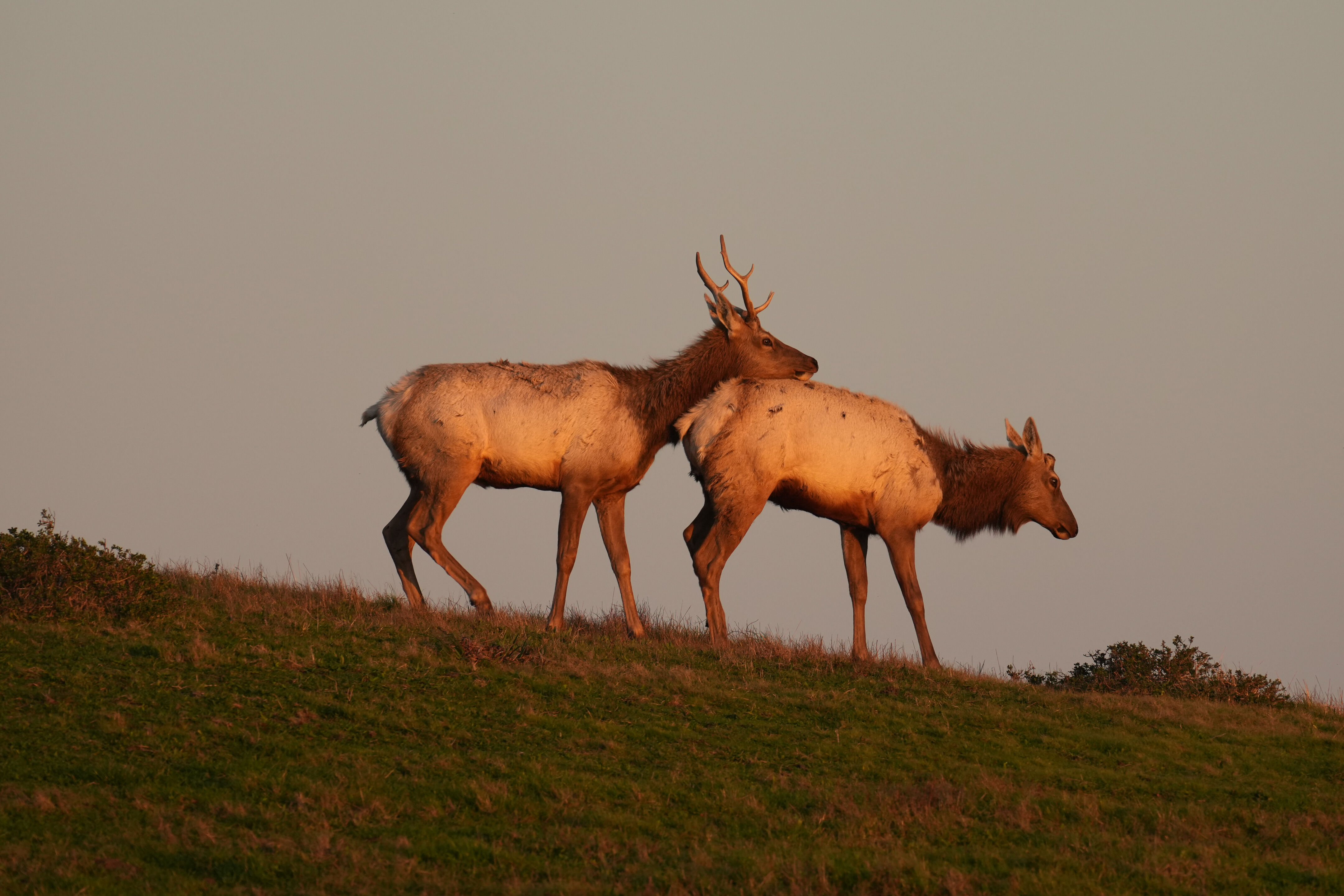 Point Reyes National Seashore - Historic Ranches