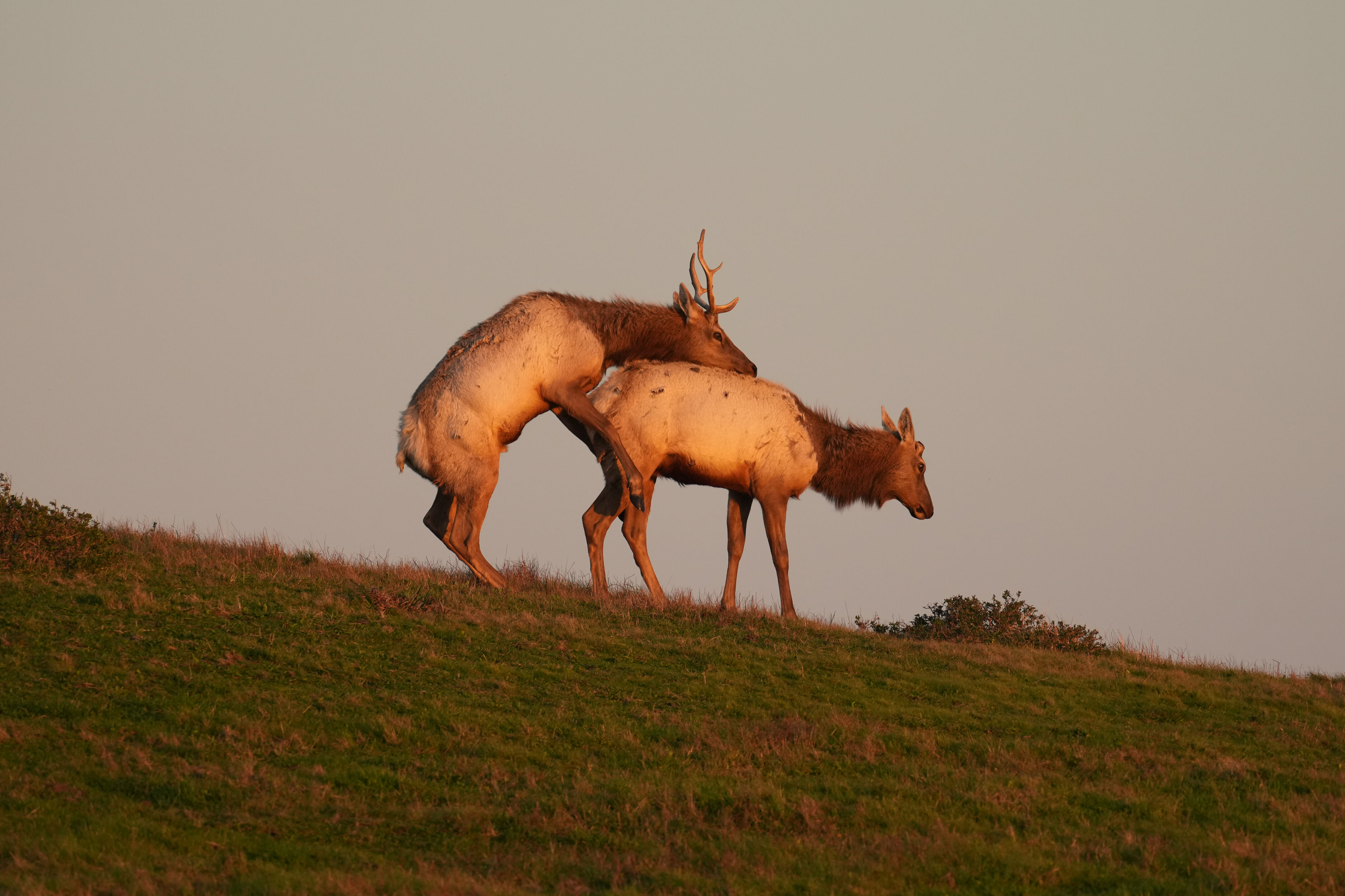 Point Reyes National Seashore - Historic Ranches