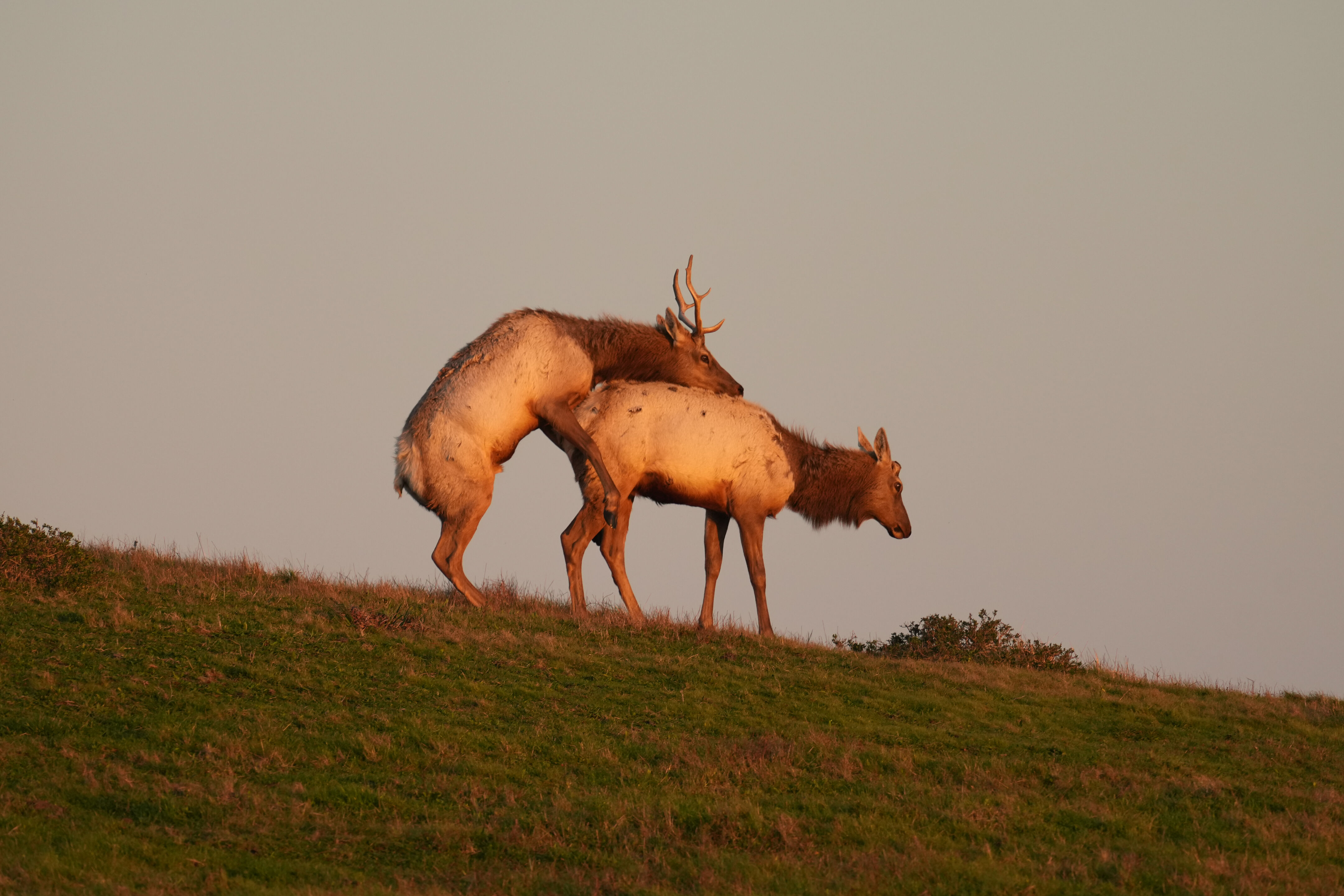 Point Reyes National Seashore - Historic Ranches