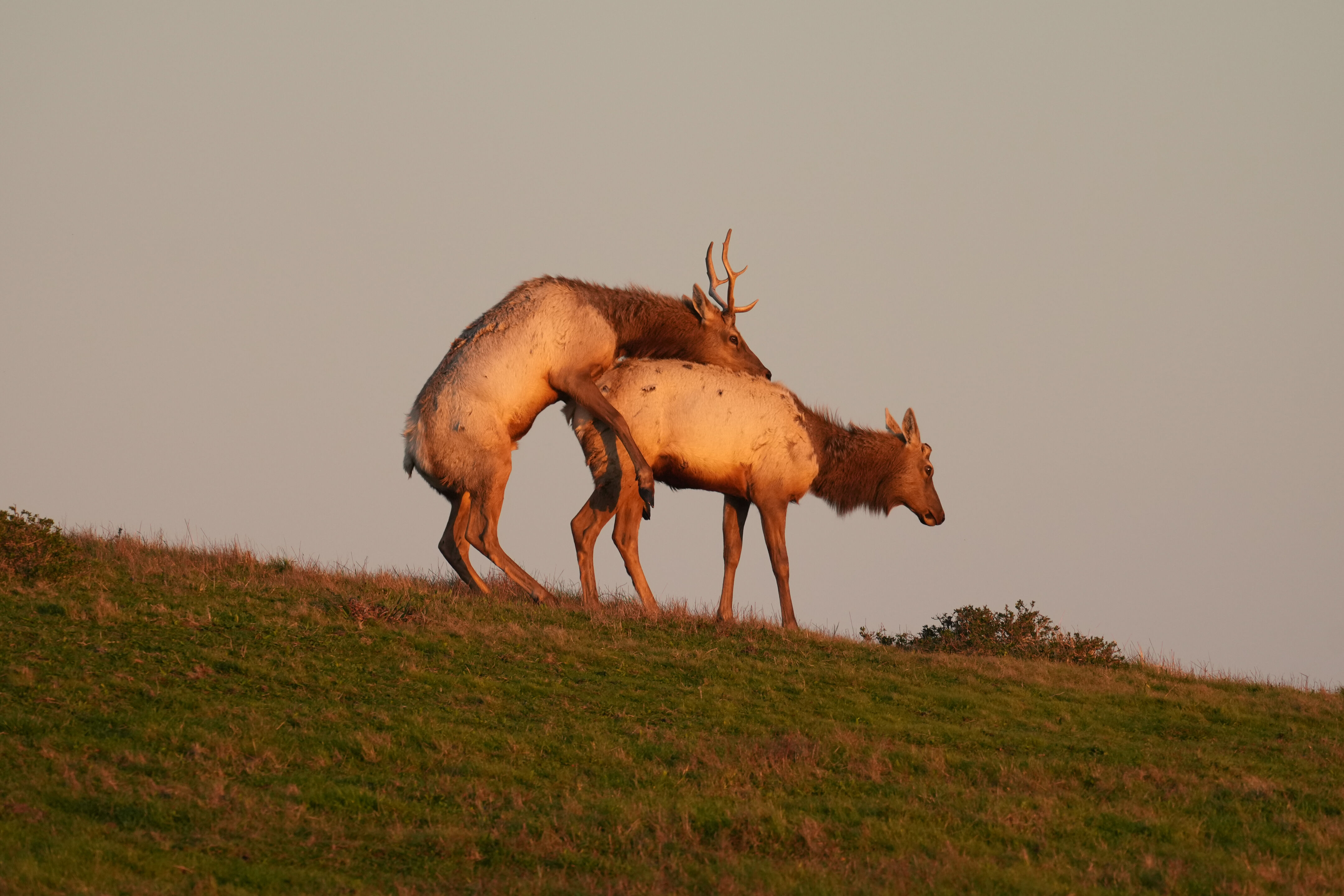 Point Reyes National Seashore - Historic Ranches