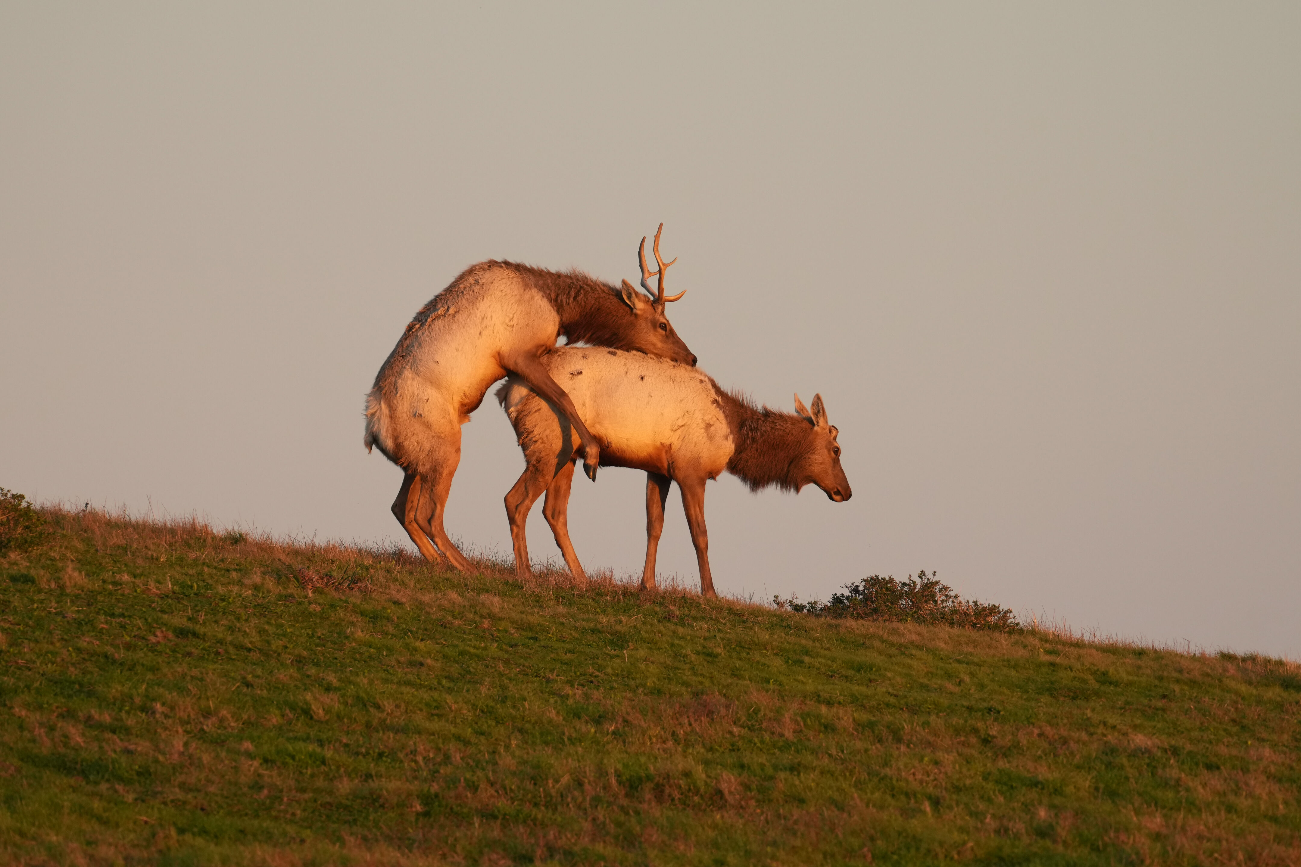 Point Reyes National Seashore - Historic Ranches