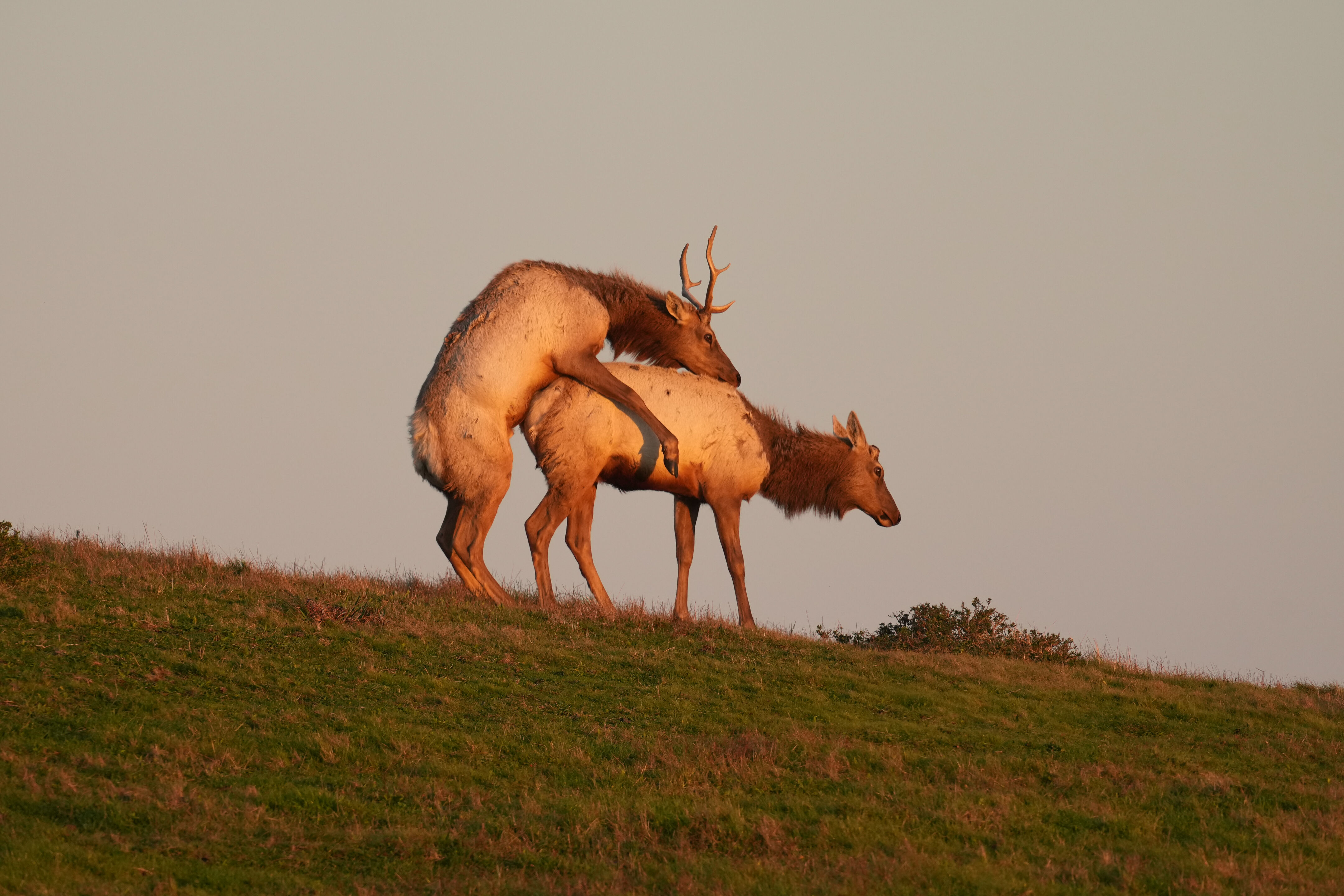Point Reyes National Seashore - Historic Ranches