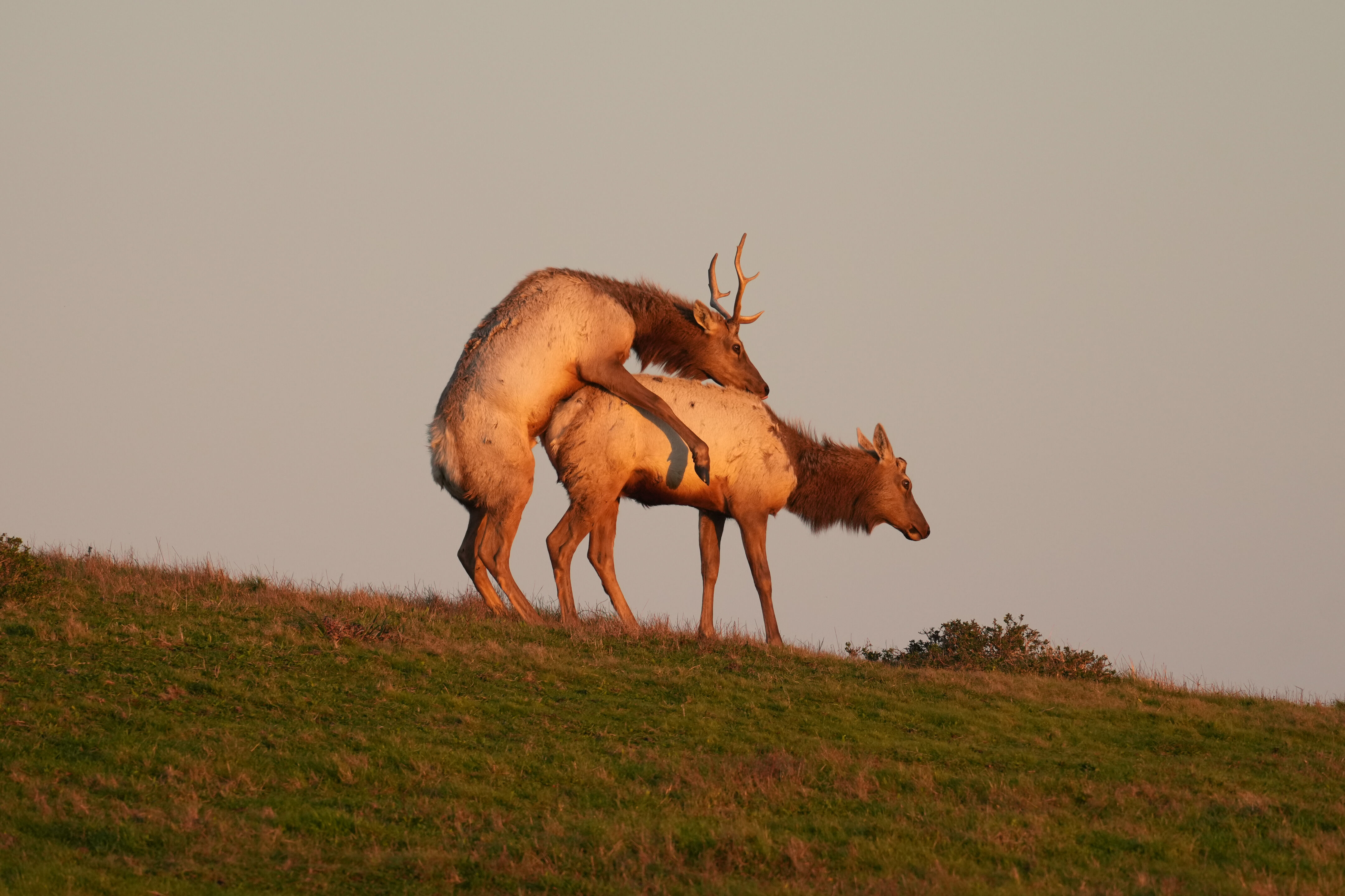 Point Reyes National Seashore - Historic Ranches