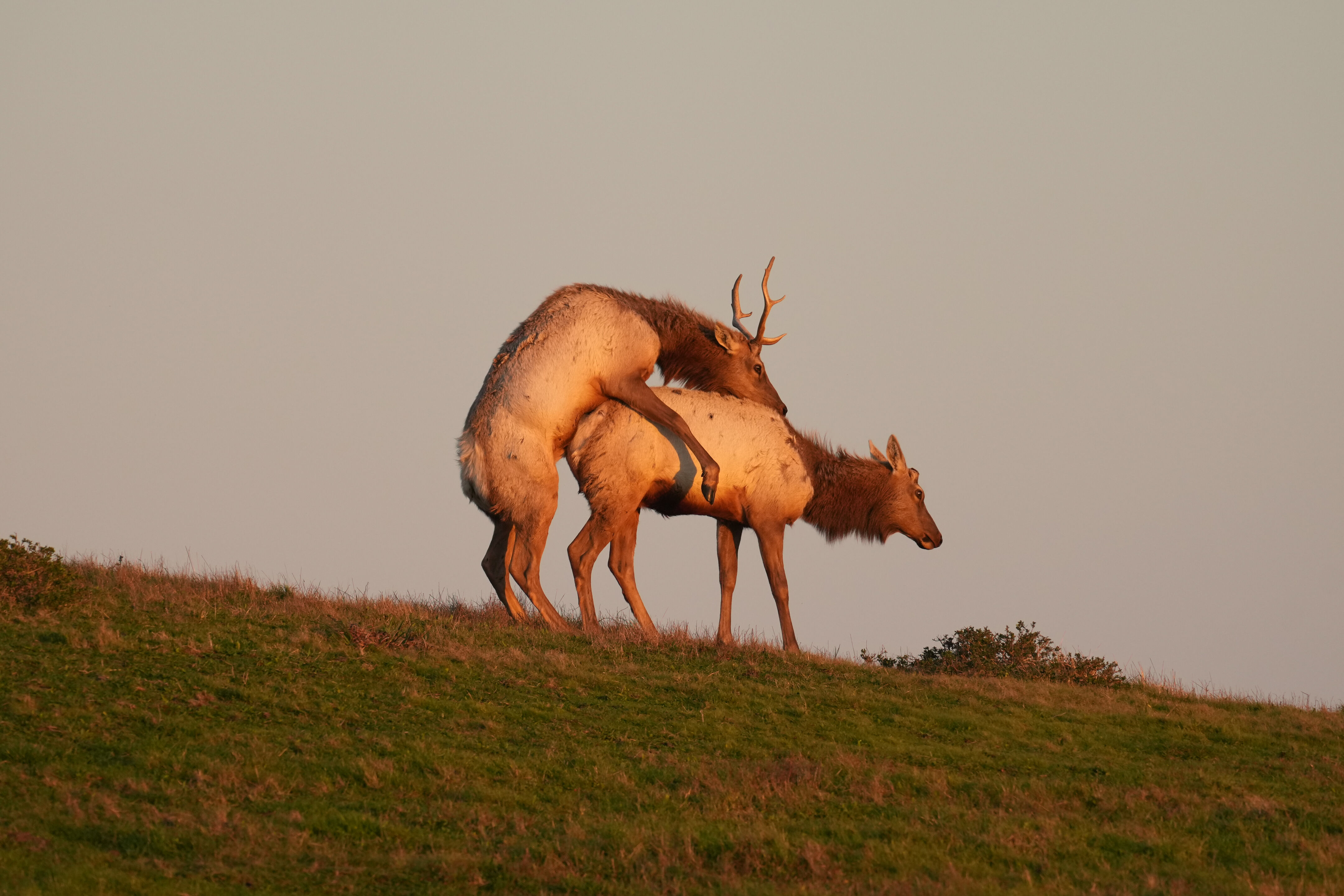 Point Reyes National Seashore - Historic Ranches