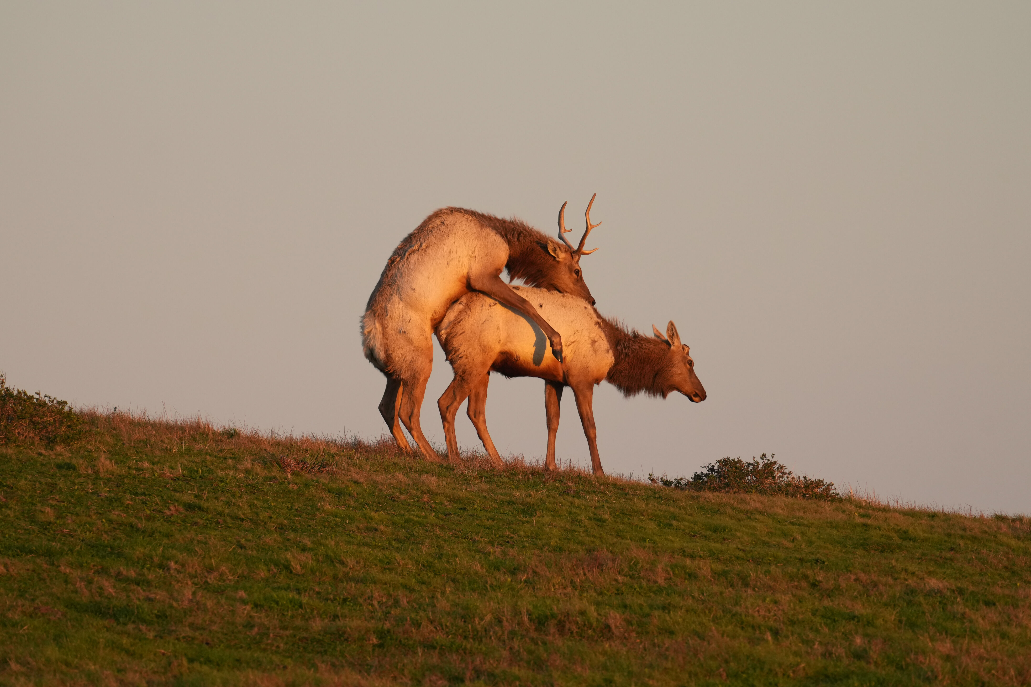 Point Reyes National Seashore - Historic Ranches