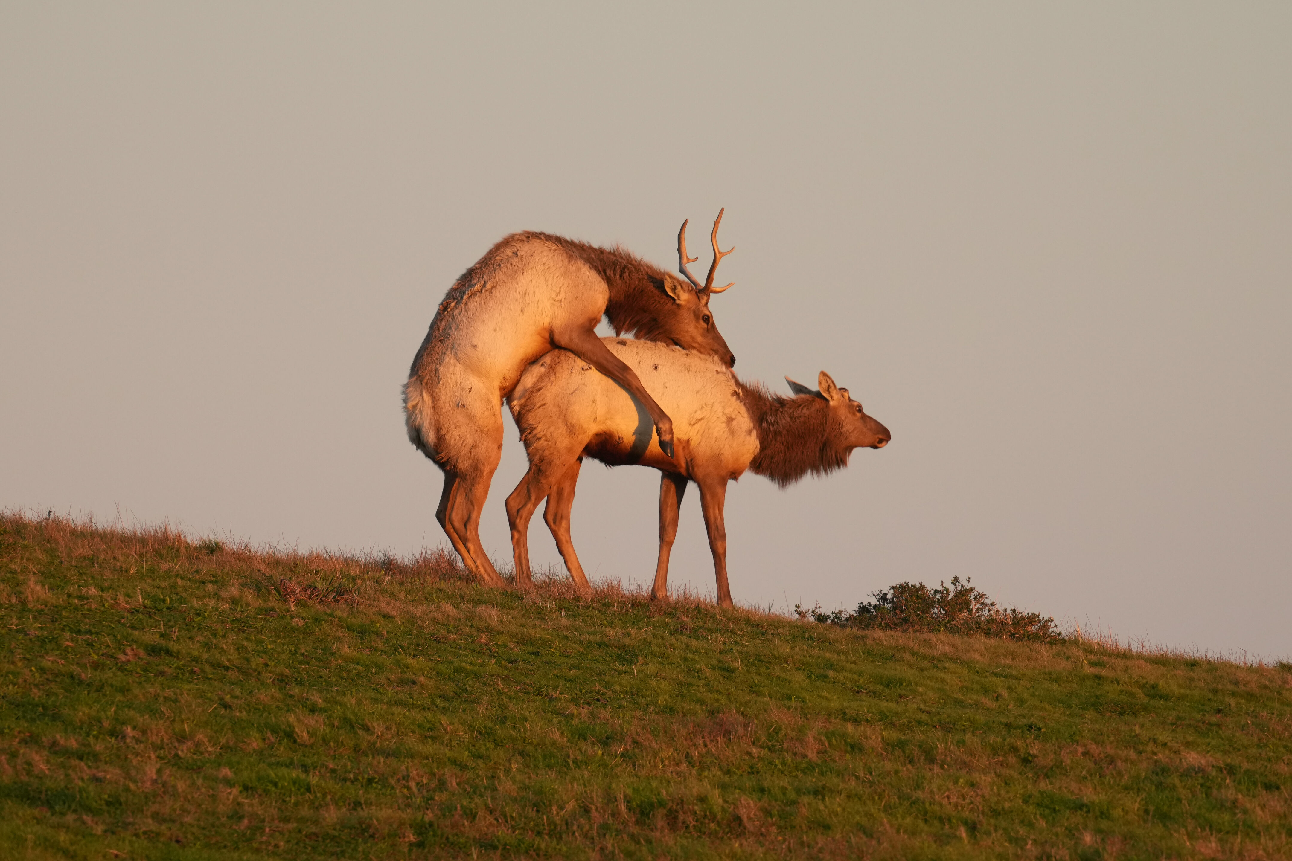 Point Reyes National Seashore - Historic Ranches