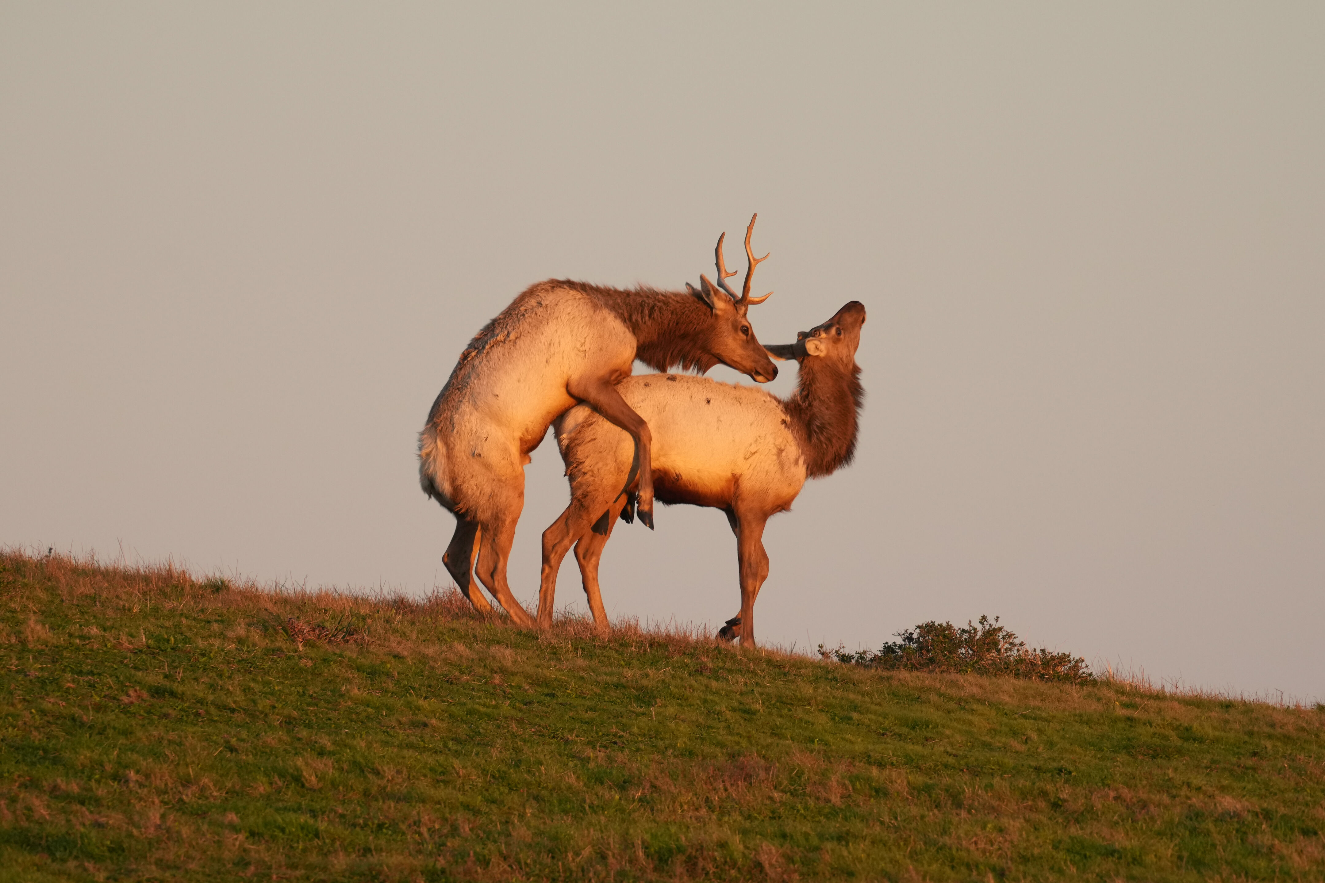 Point Reyes National Seashore - Historic Ranches